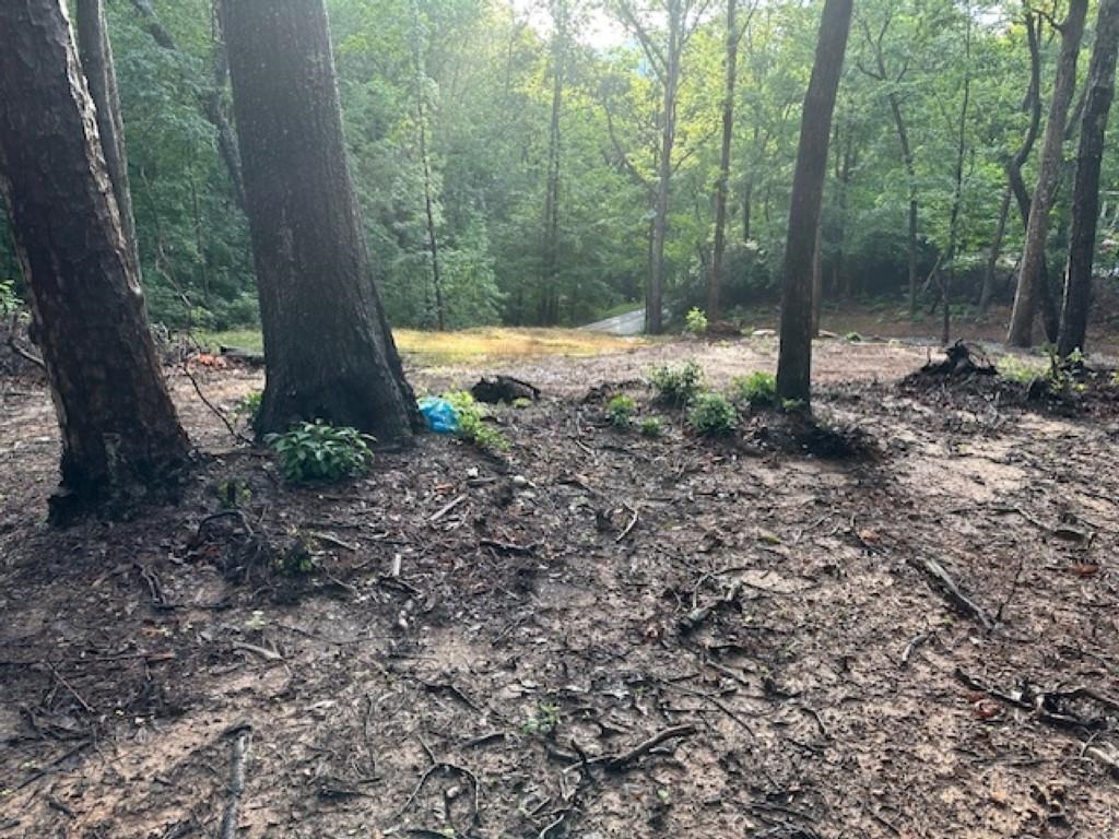339424 Property Photo 4