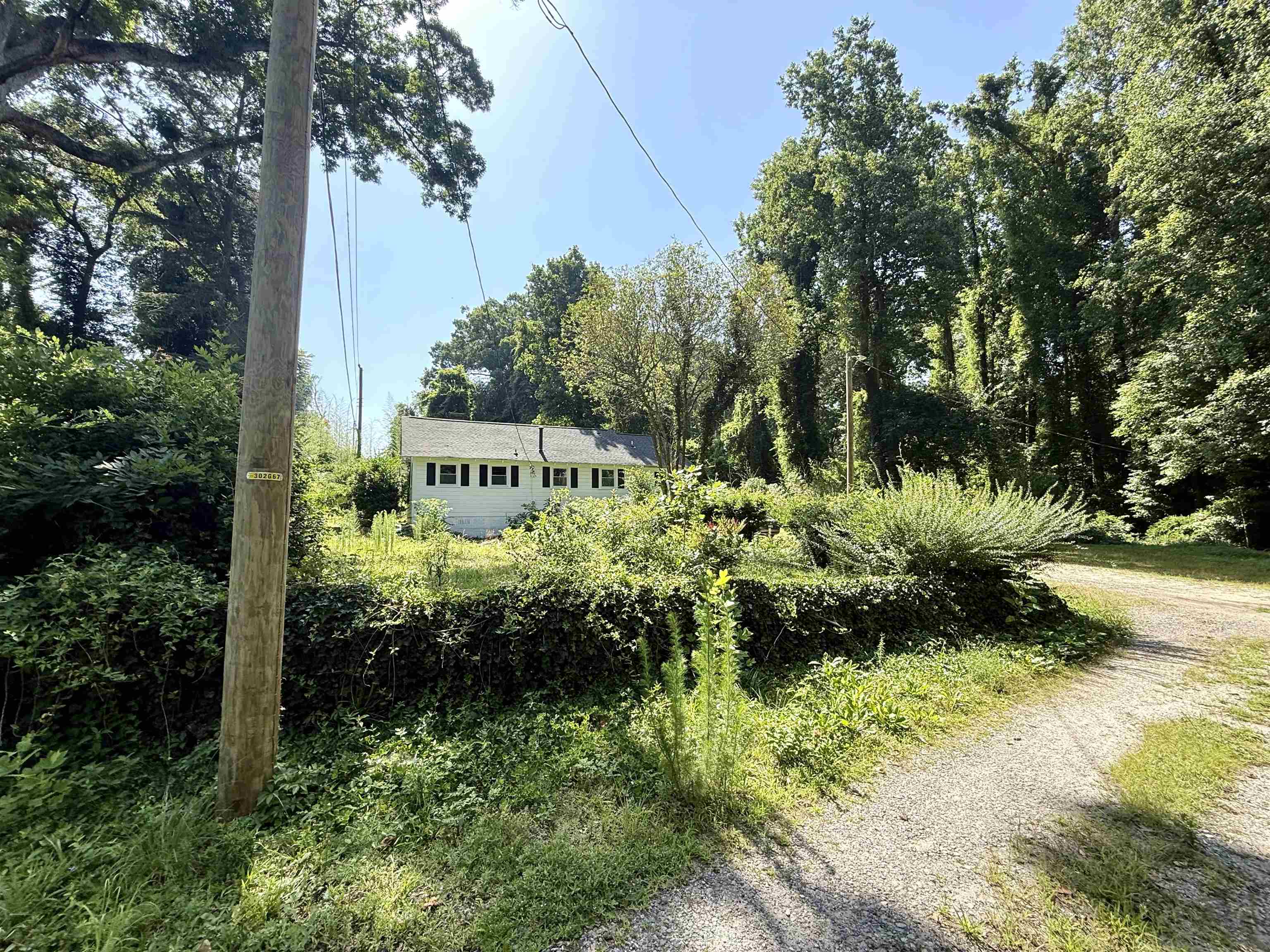 339433 Property Photo 6