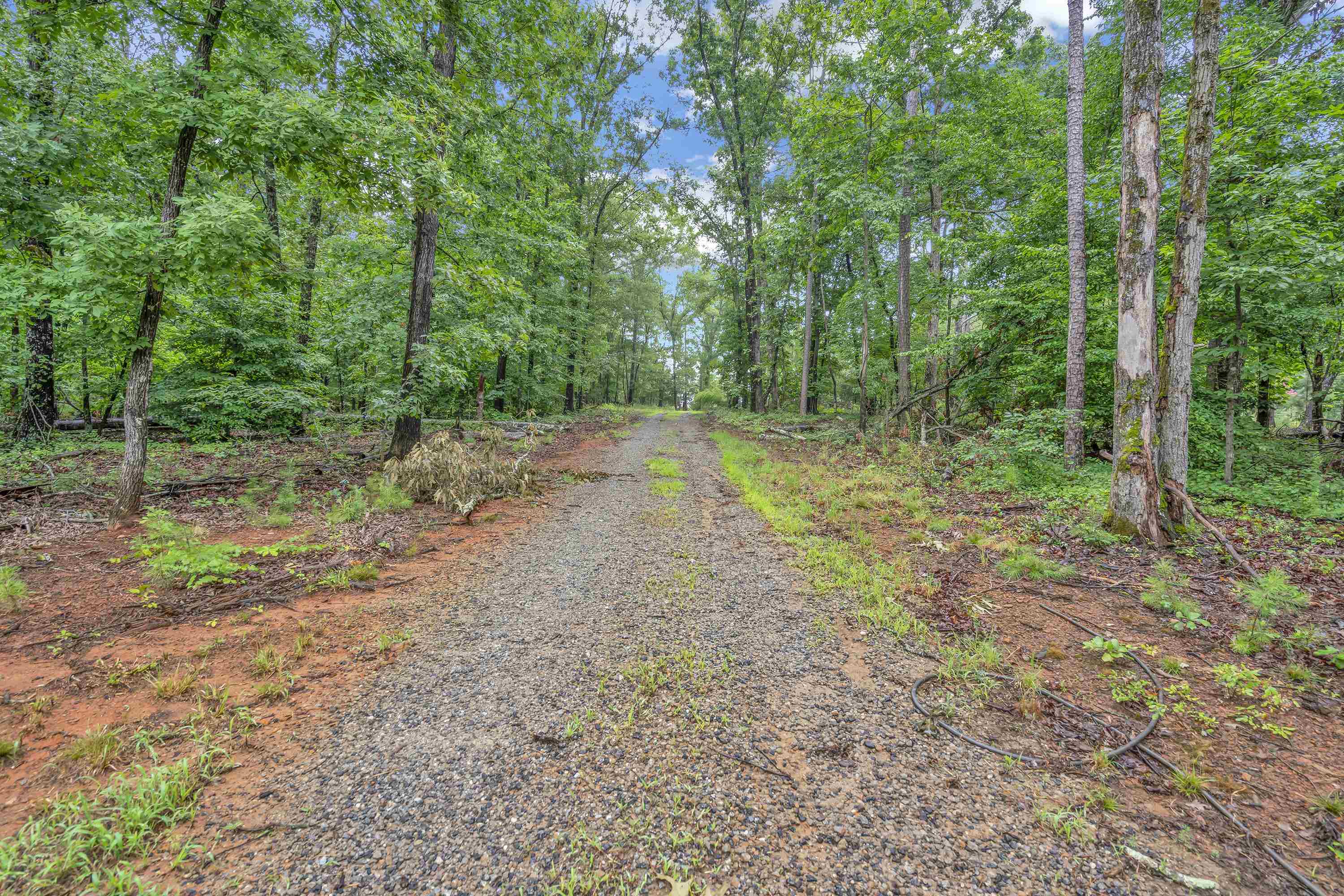 850 Bud Arthur Bridge Road Property Photo 3