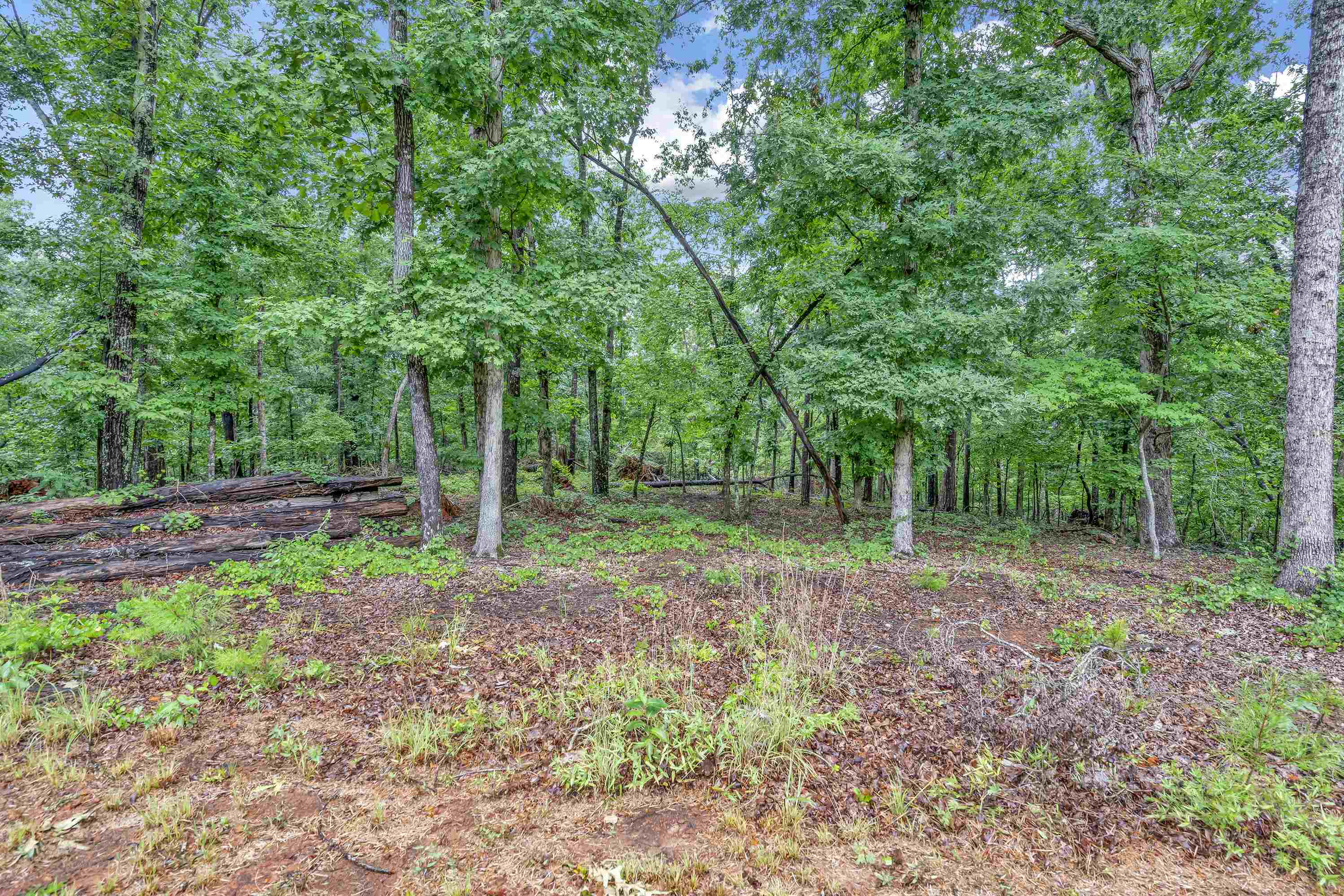 850 Bud Arthur Bridge Road Property Photo 21