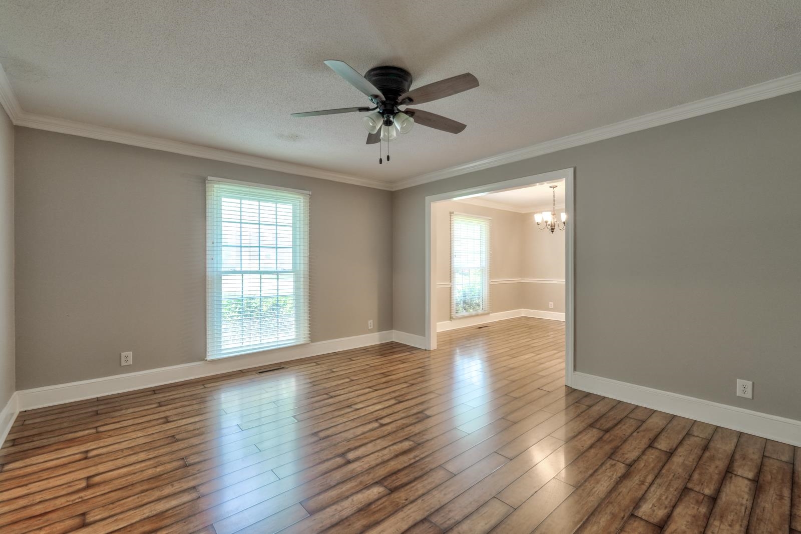 203 Bruton Place Property Photo 4