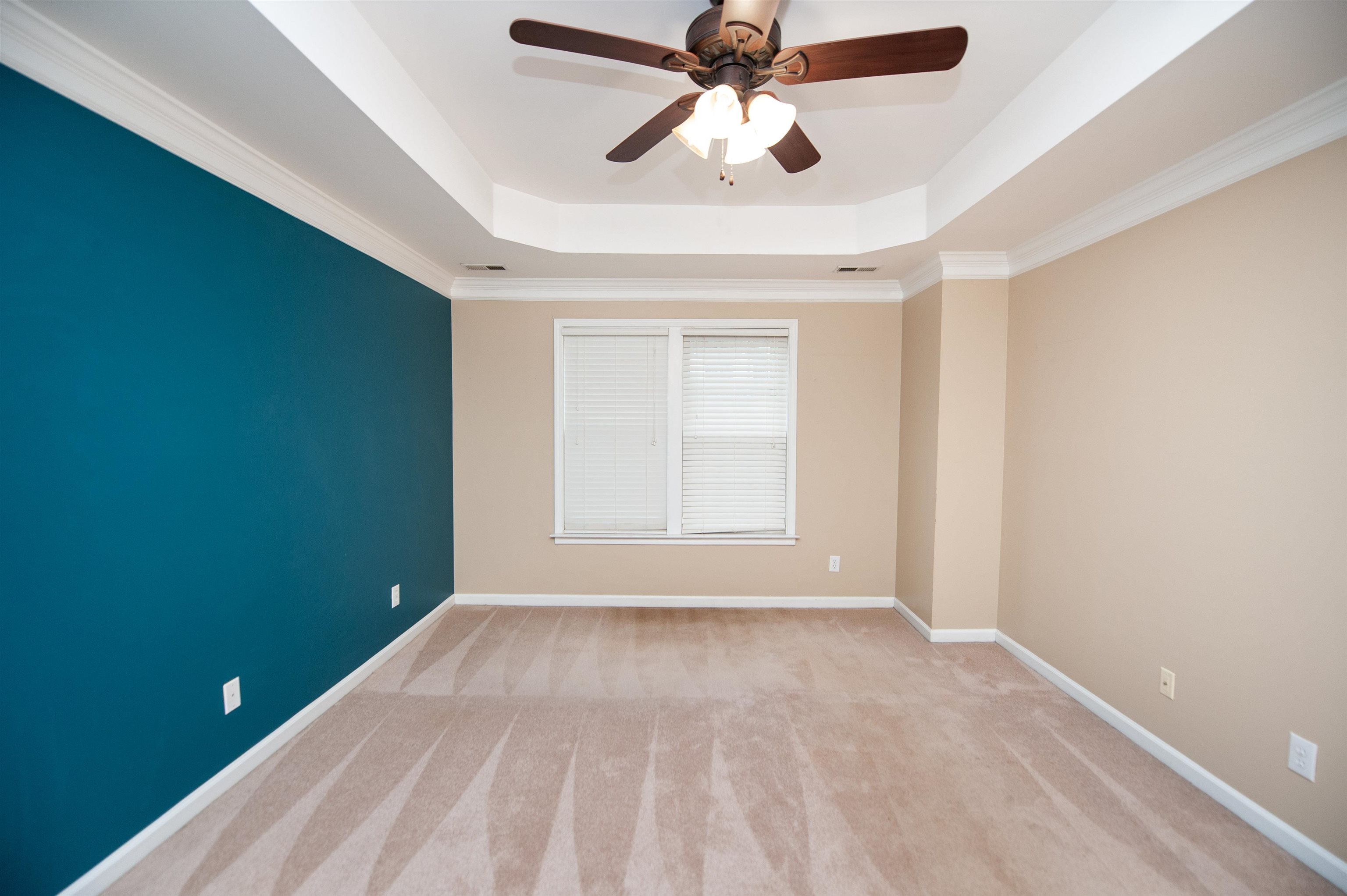 196 Timberleaf Drive Property Photo 19