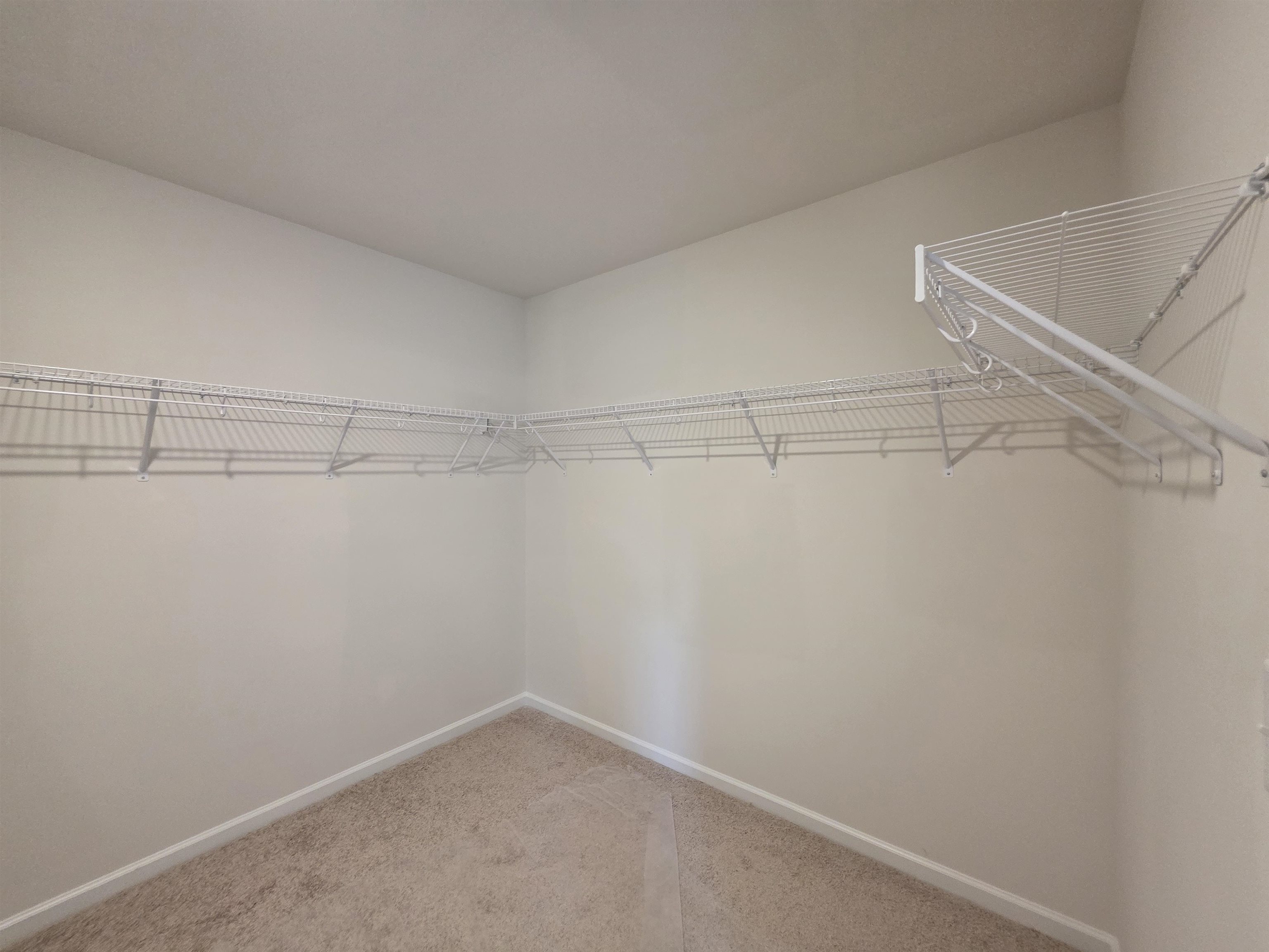 443 Dodger Avenue Property Photo 21