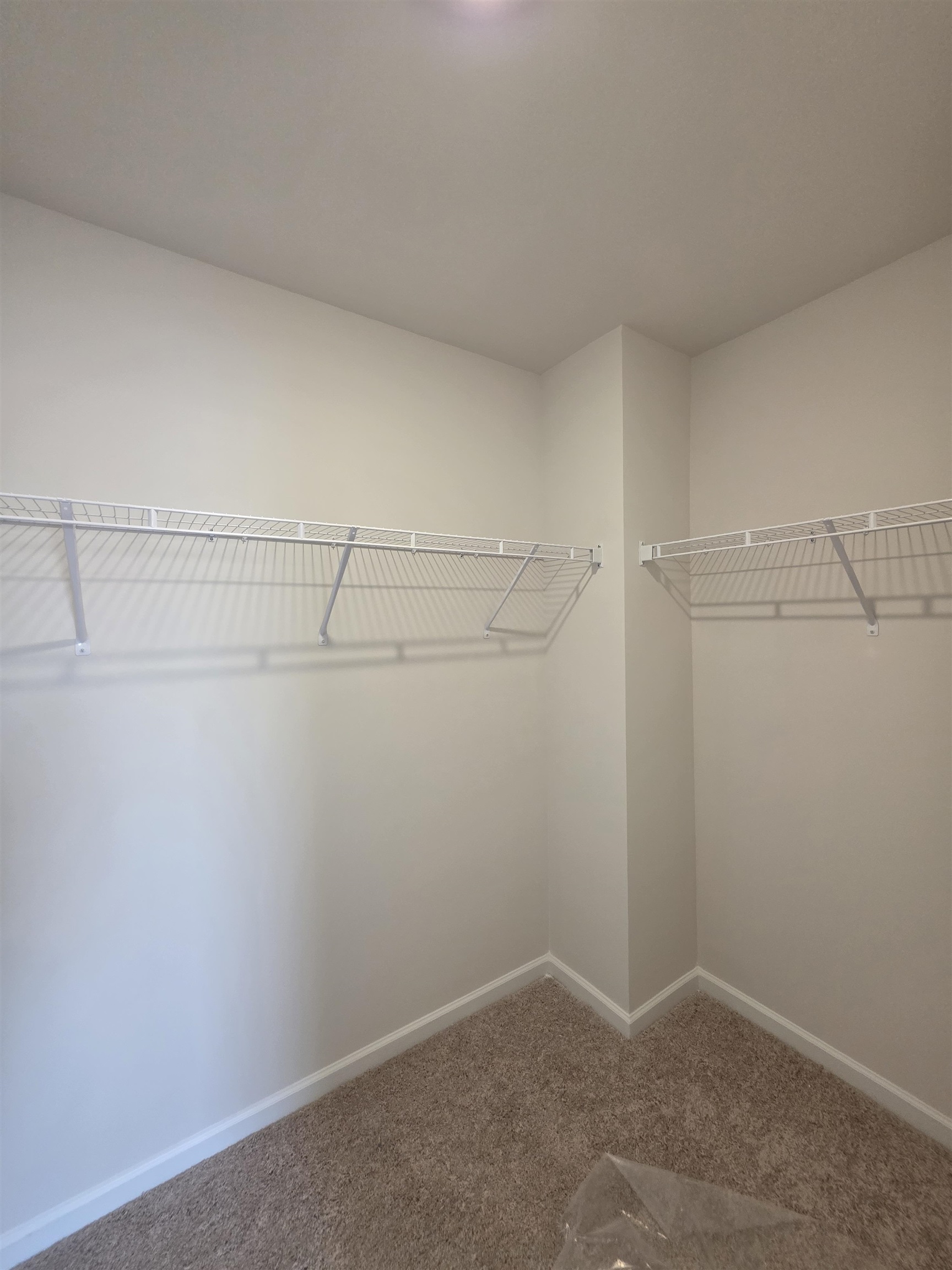 443 Dodger Avenue Property Photo 26