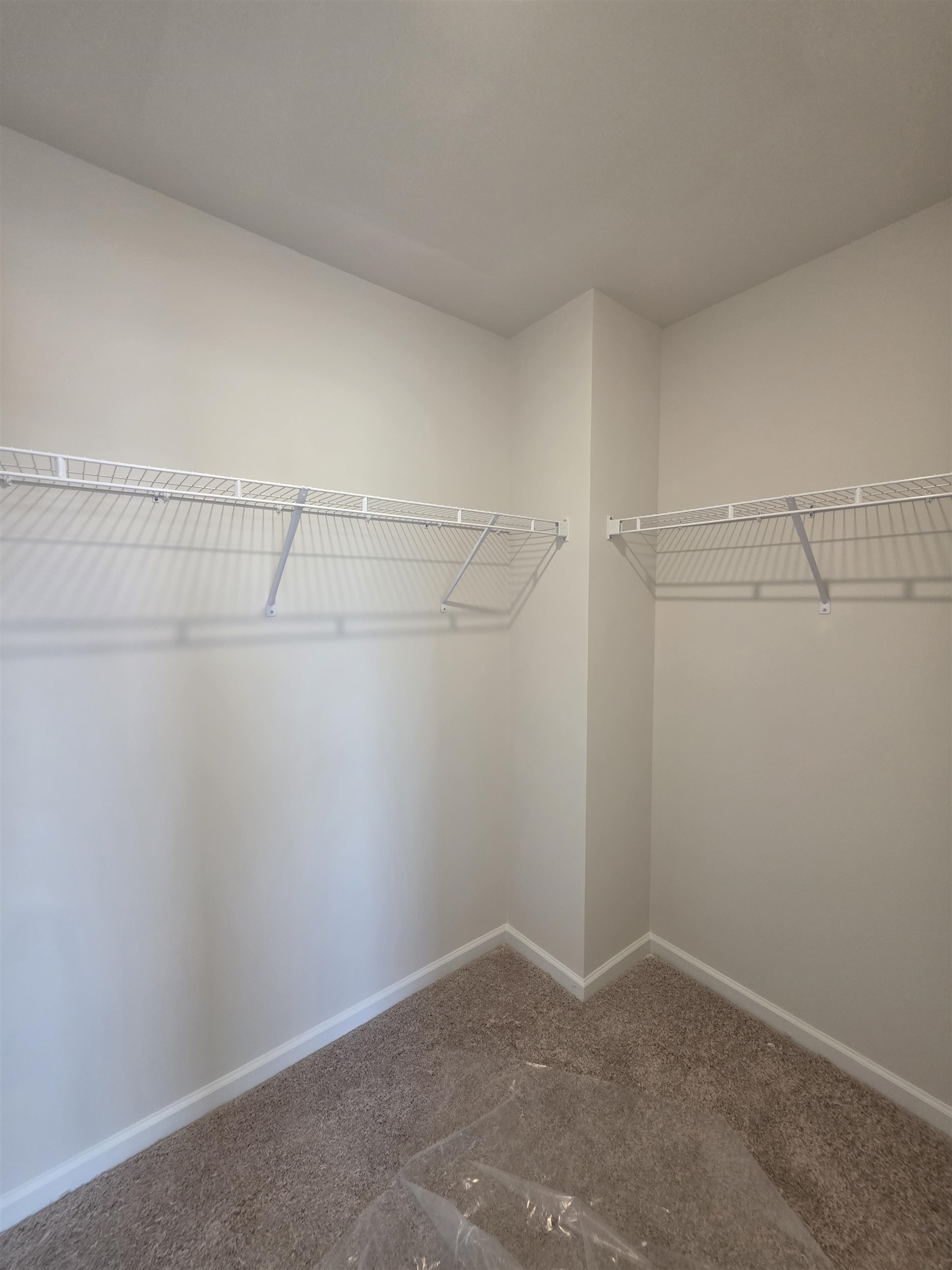 443 Dodger Avenue Property Photo 30