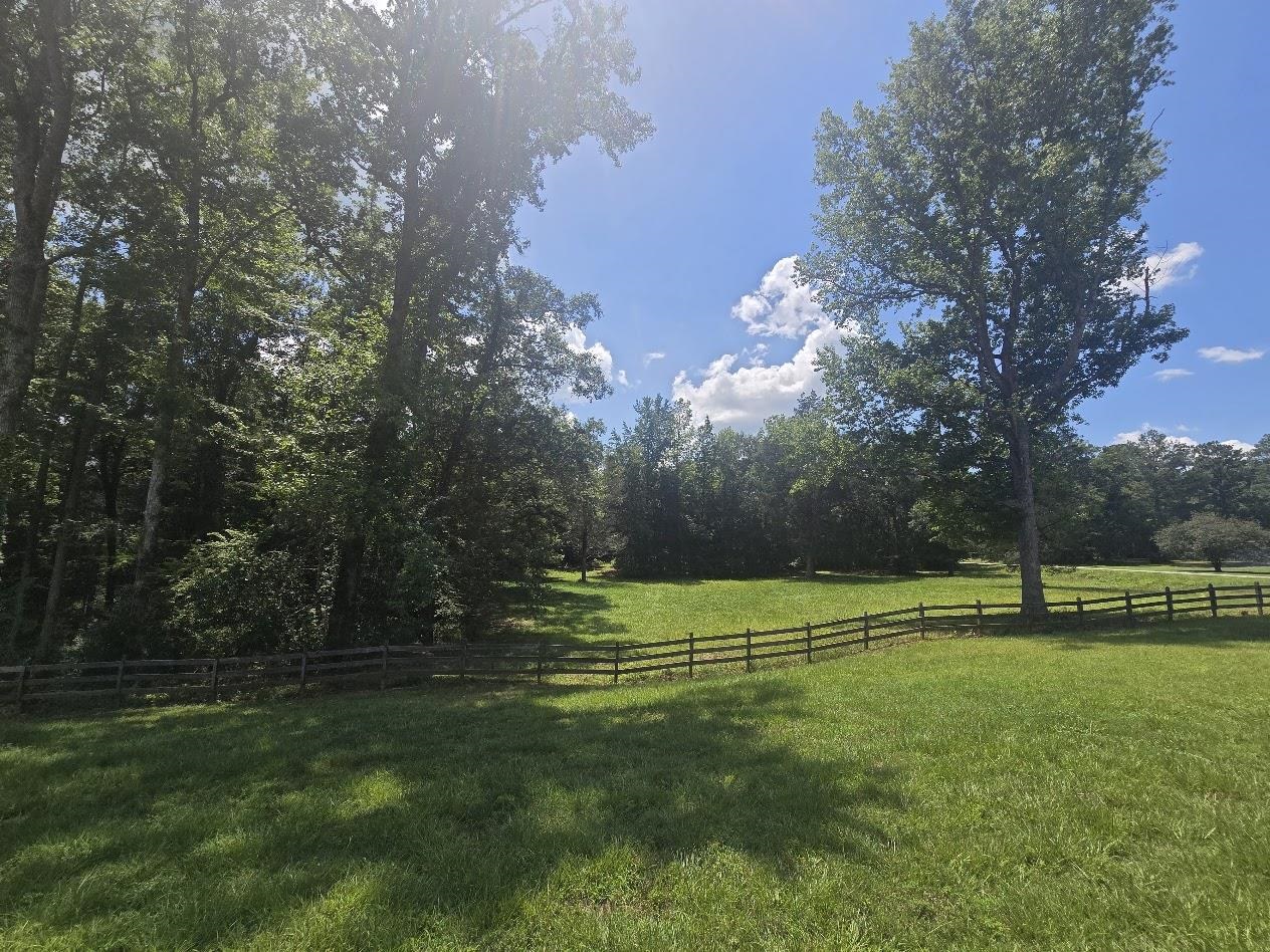 2373 Mount Tabor Church Rd Property Photo 8
