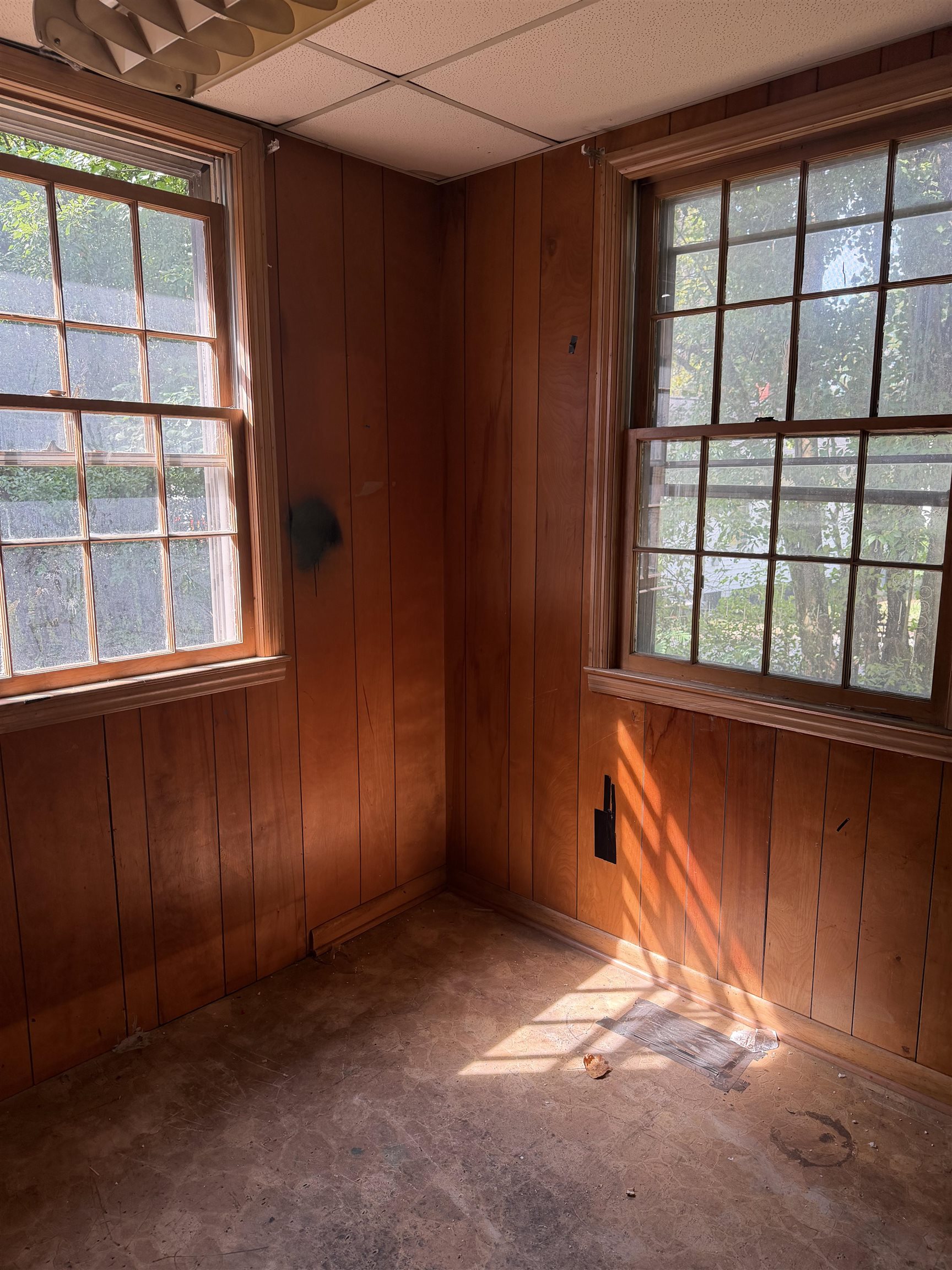 352 Whitney Road Property Photo 18
