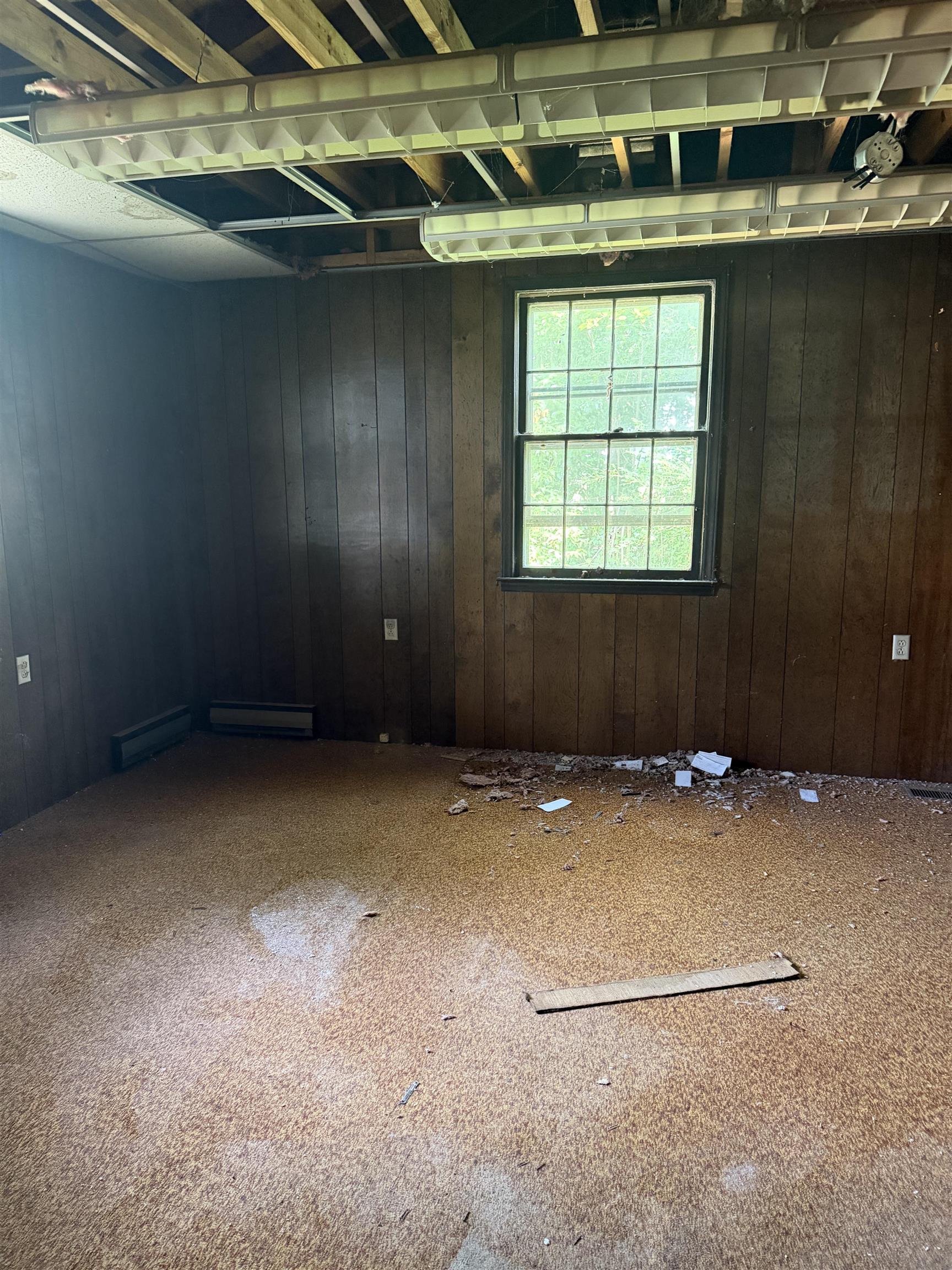 352 Whitney Road Property Photo 20