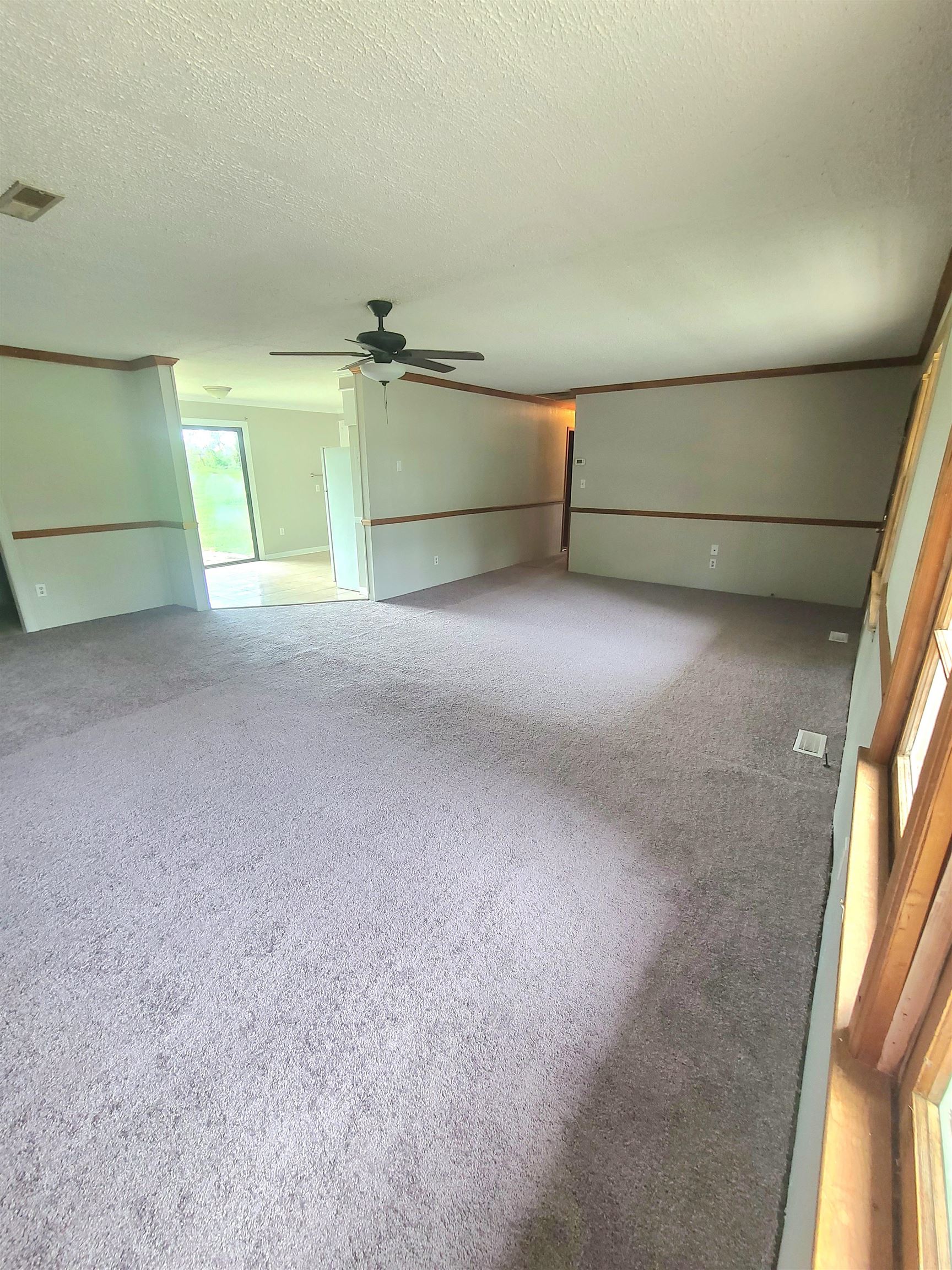 113 Dale Street Property Photo 3