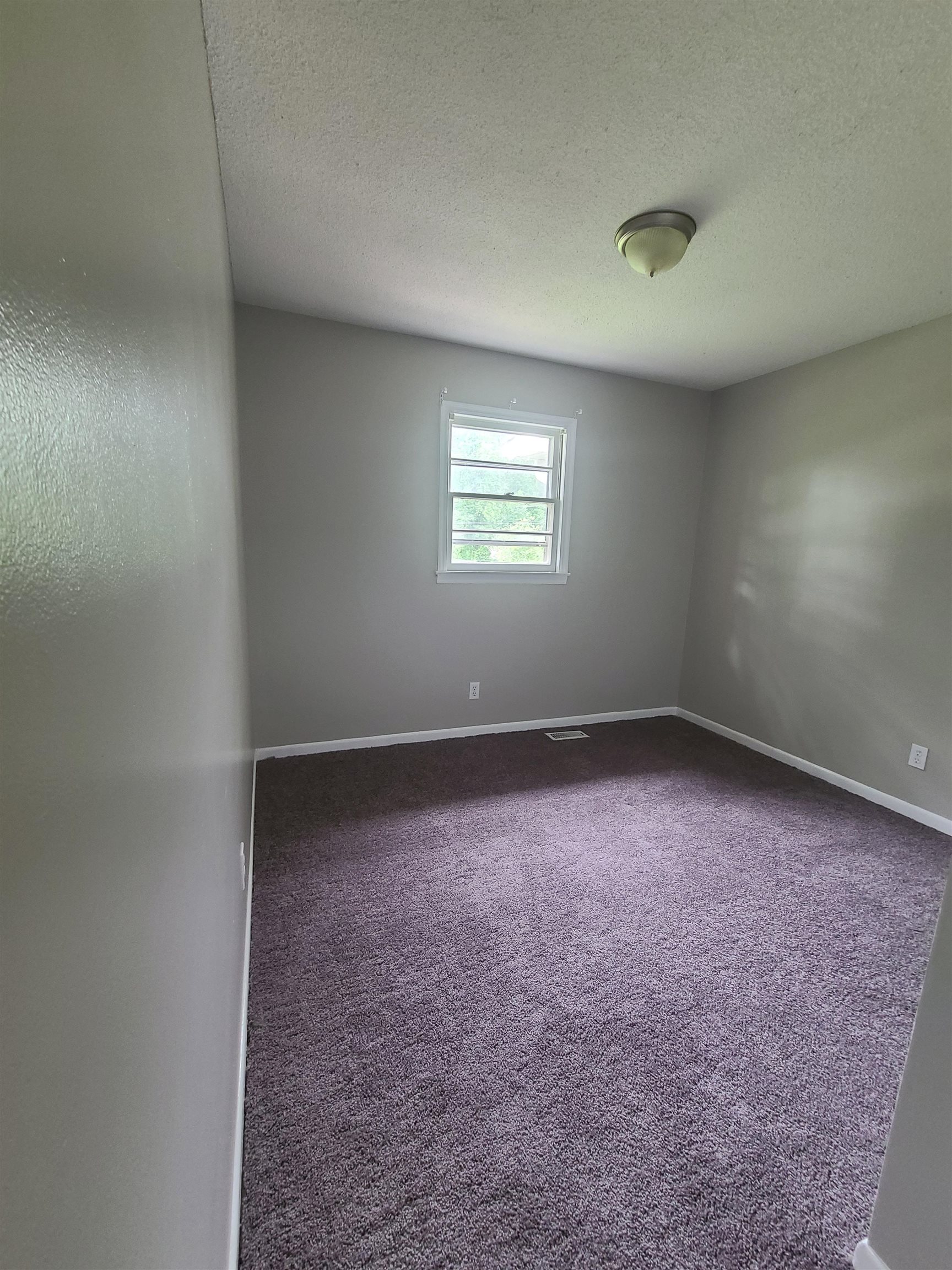 113 Dale Street Property Photo 7