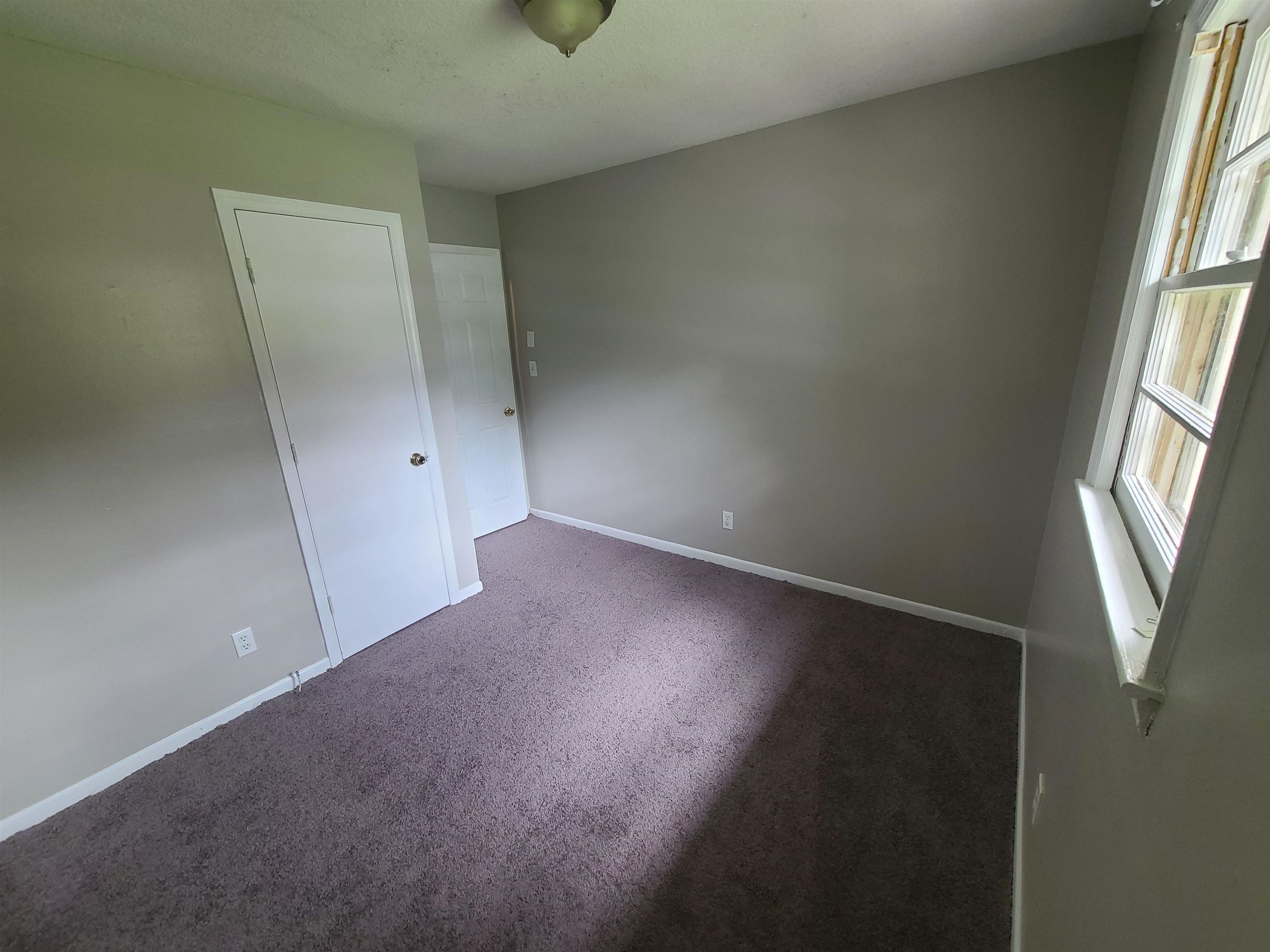 113 Dale Street Property Photo 8