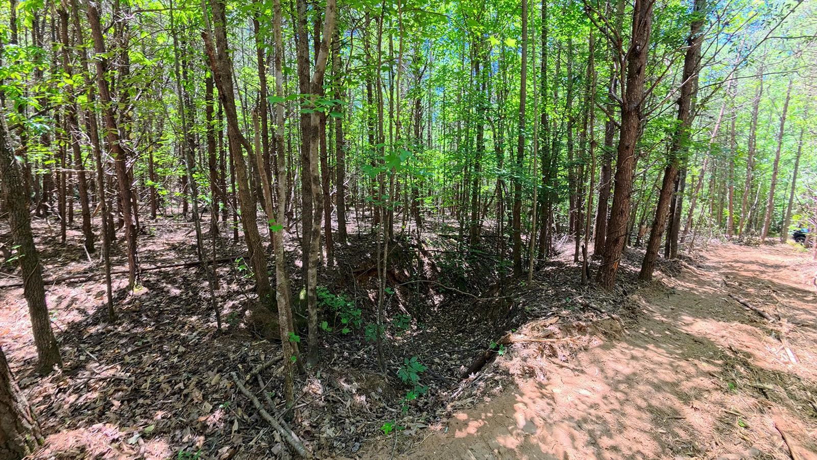 339804 Property Photo 16