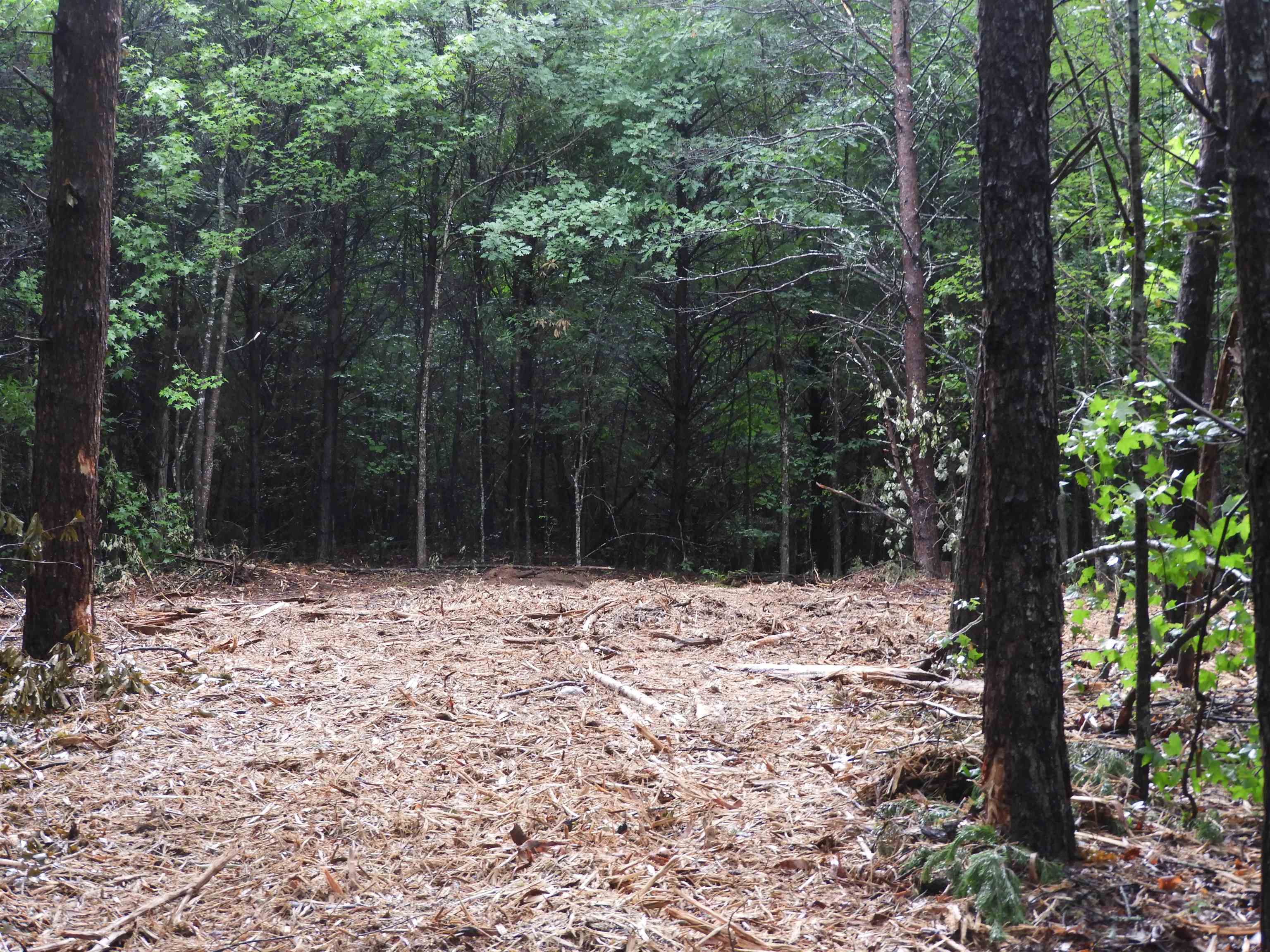 339804 Property Photo 18