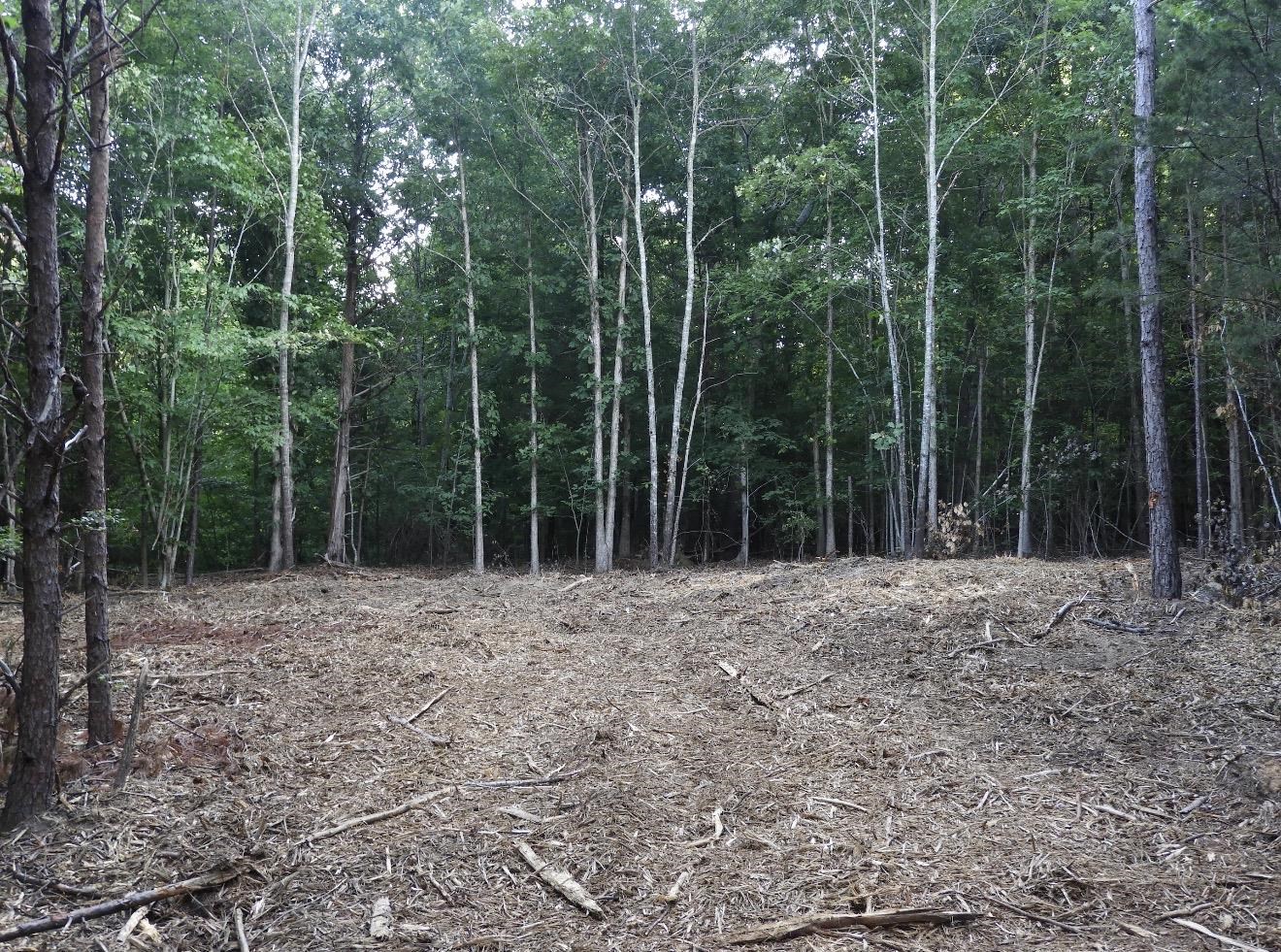 339804 Property Photo 28