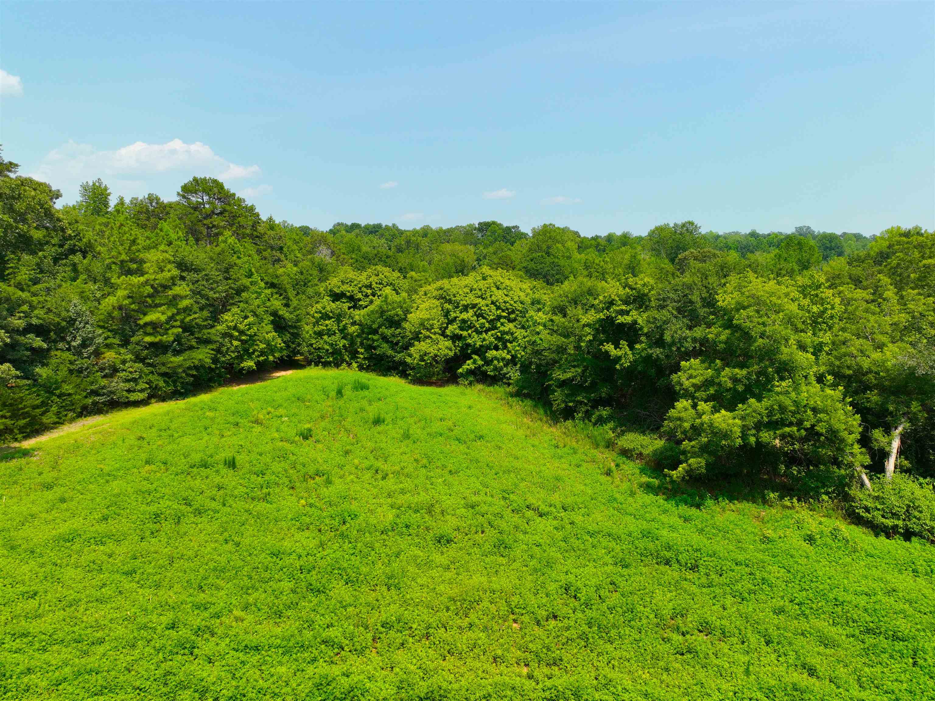 339916 Property Photo 10