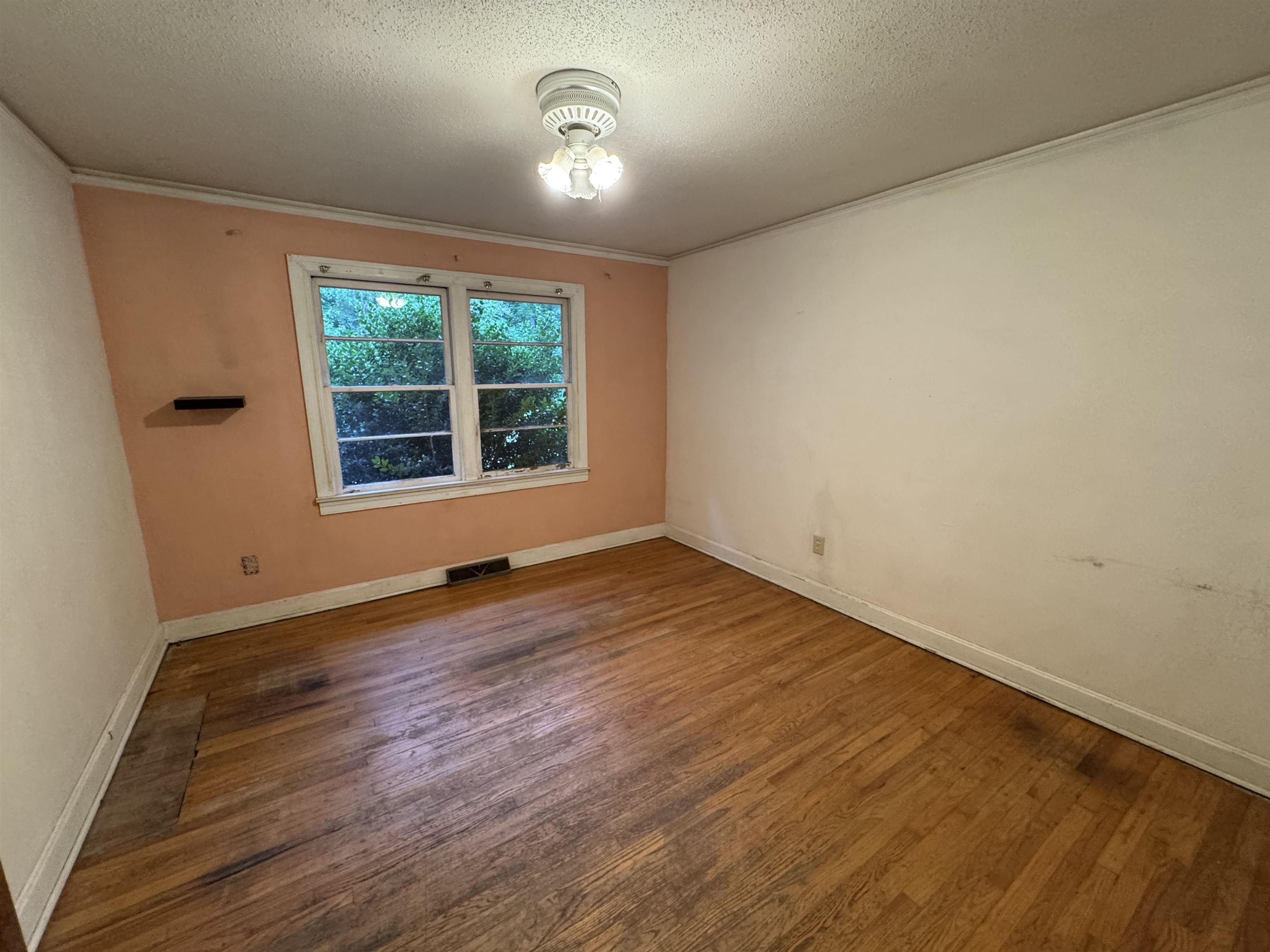 339916 Property Photo 19