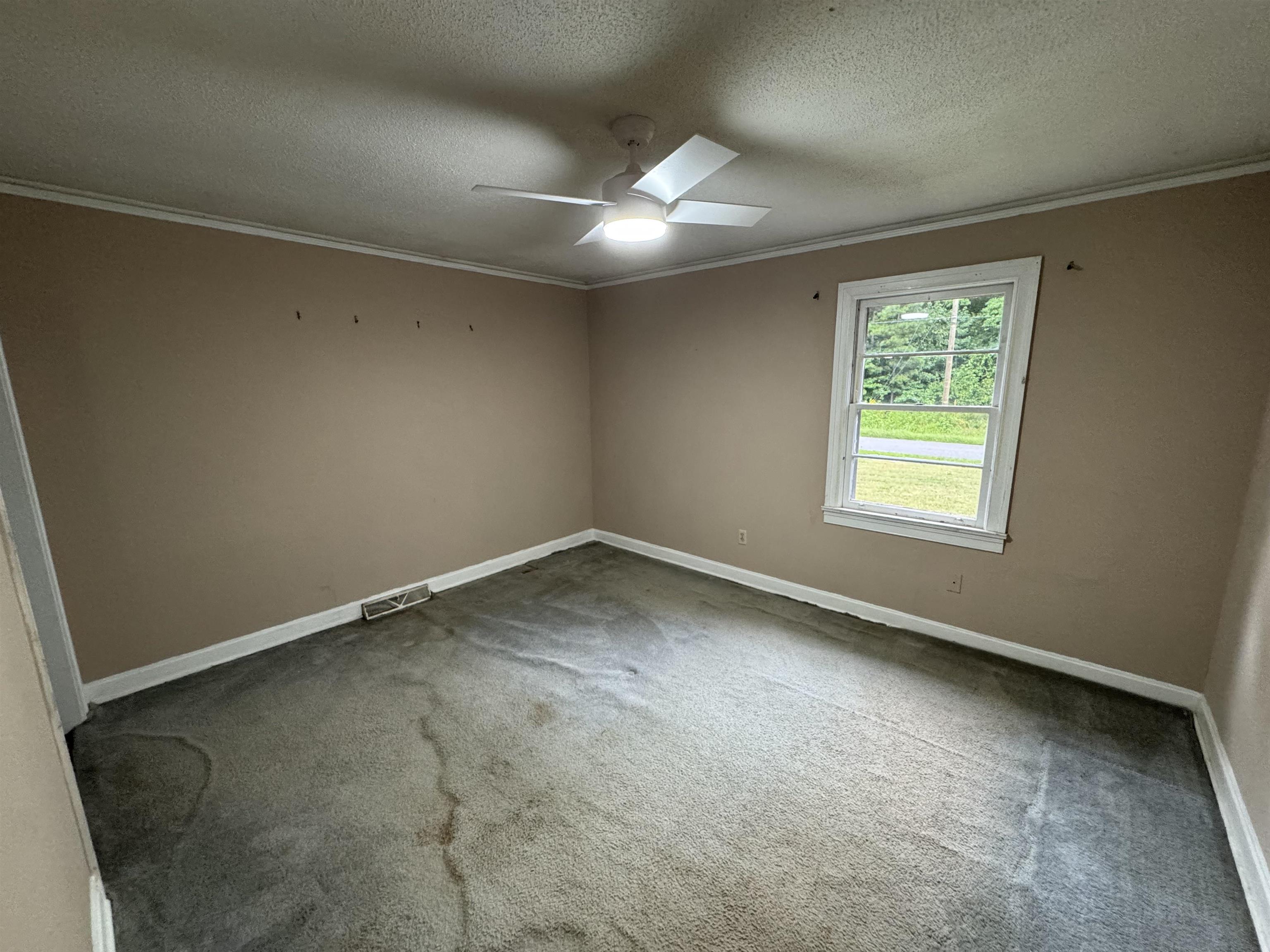 339916 Property Photo 20