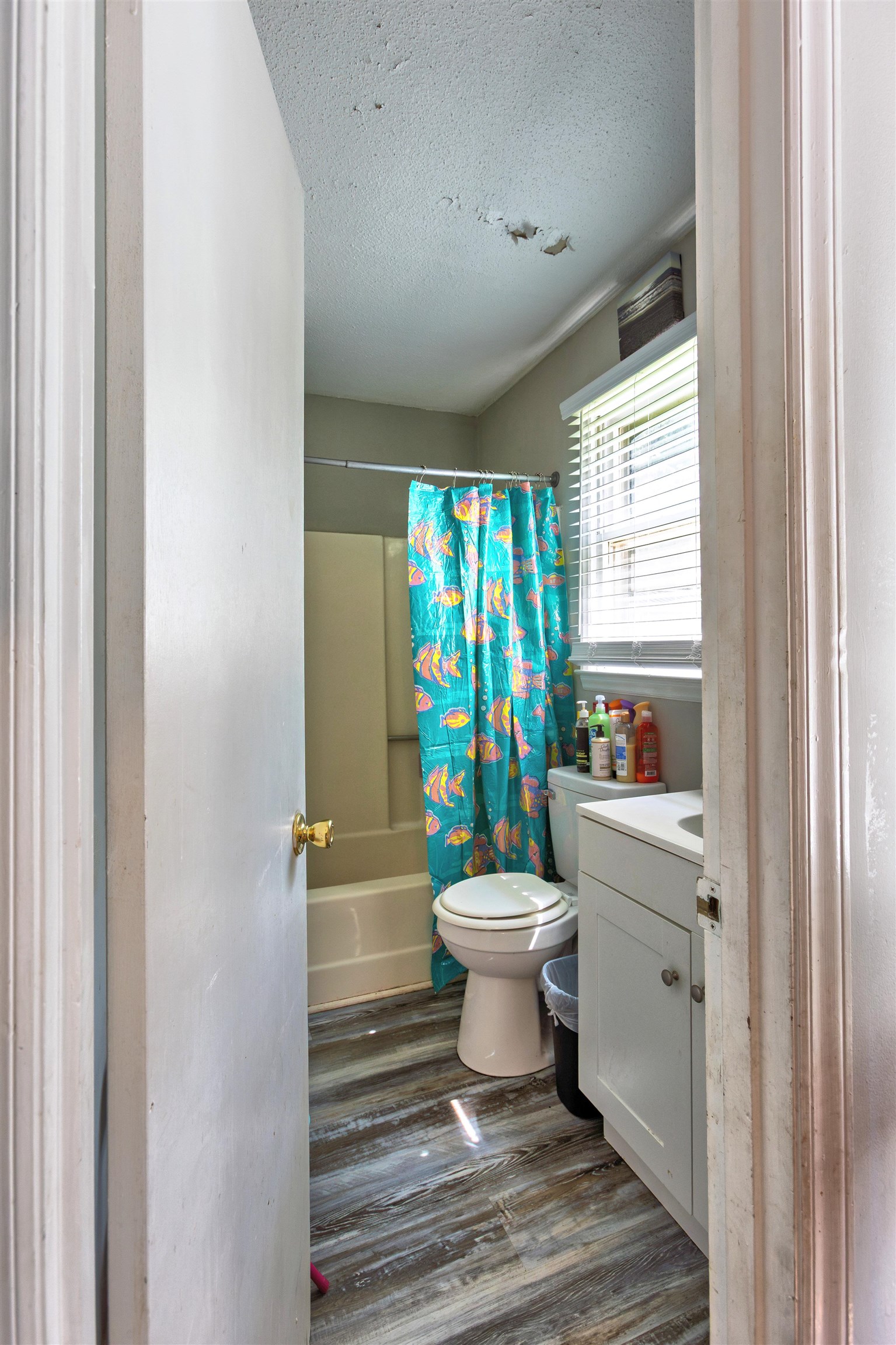 429 Killion Dr Property Photo 10