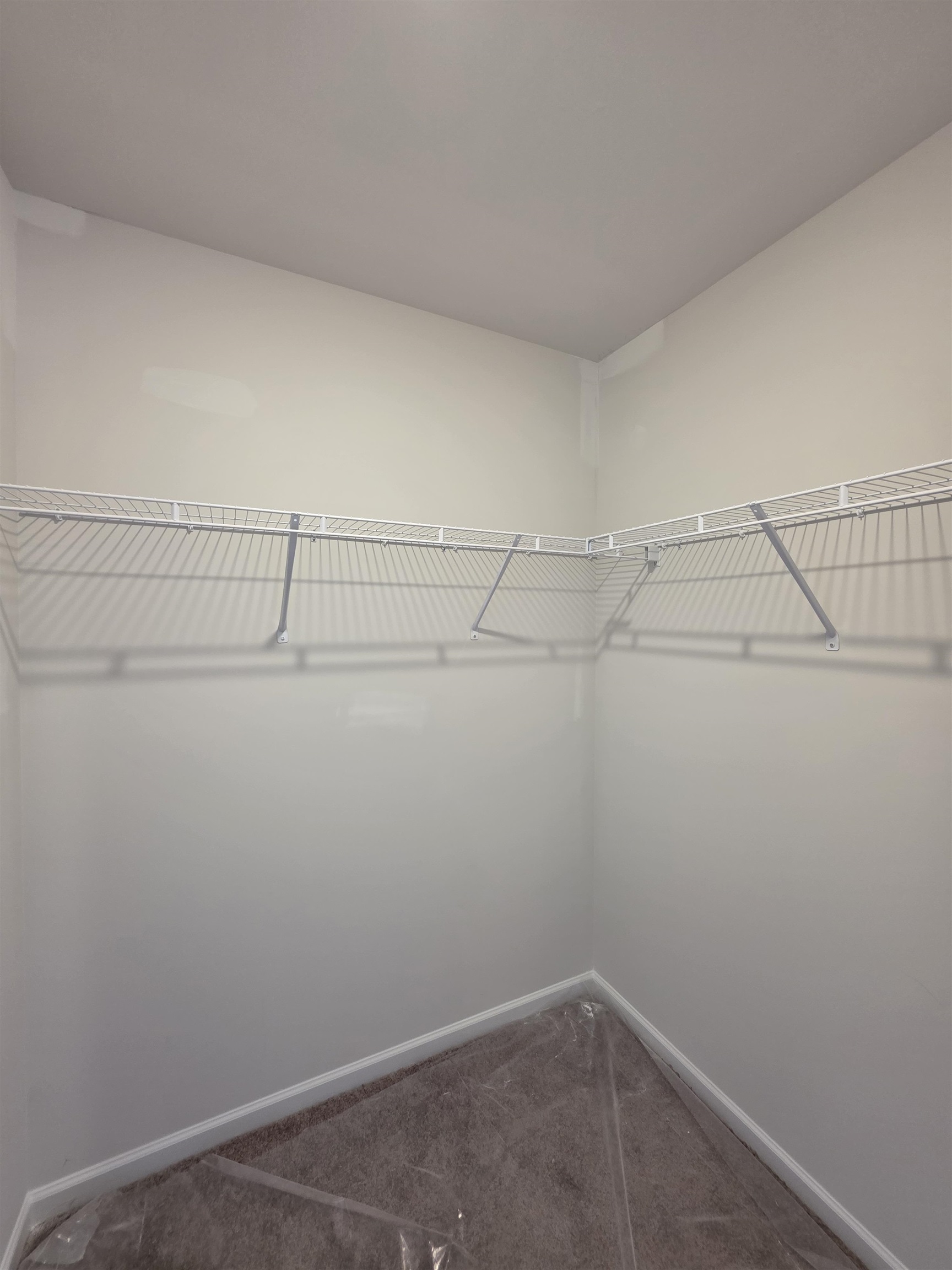 459 Dodger Avenue Property Photo 35
