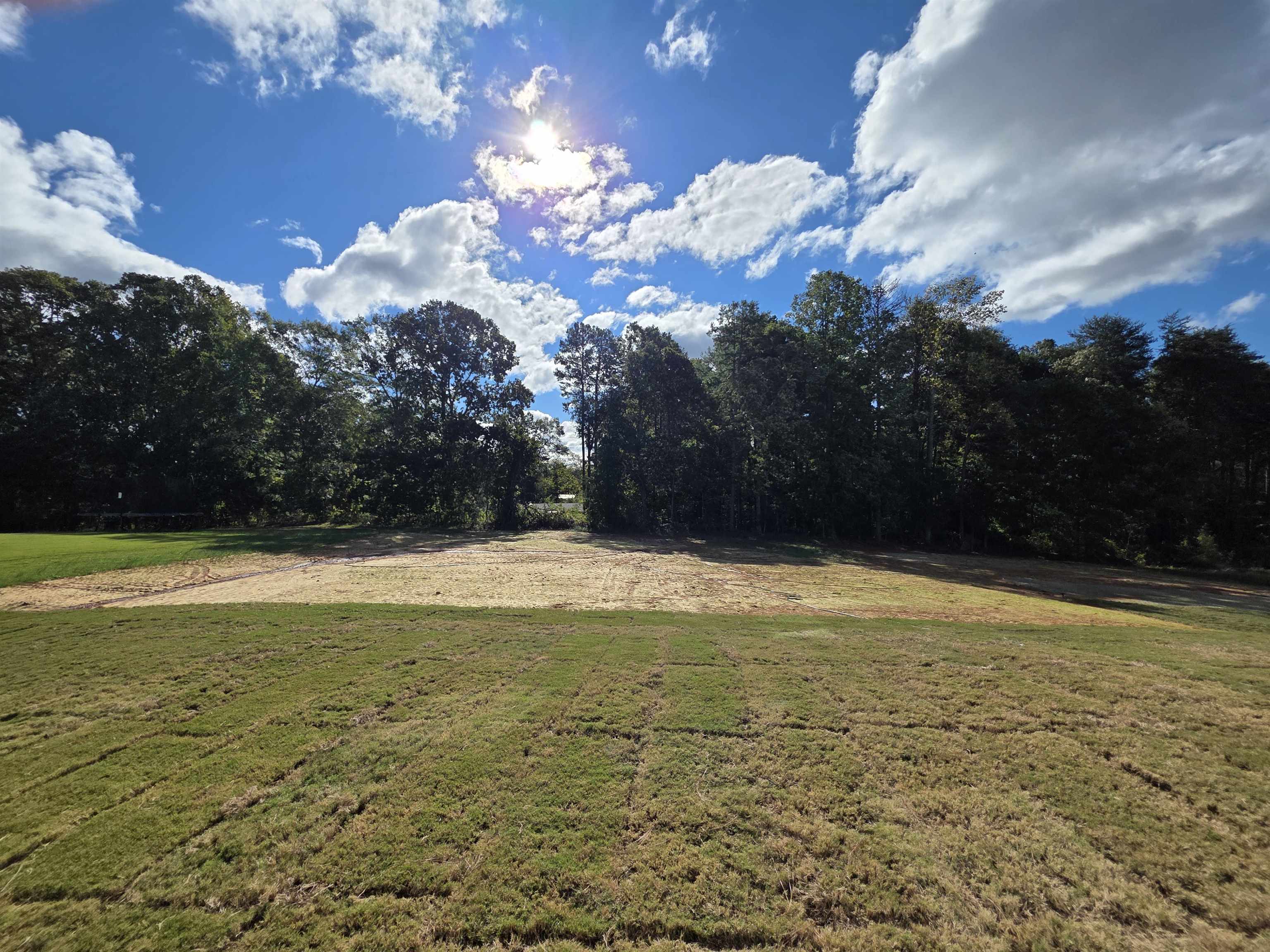 459 Dodger Avenue Property Photo 47