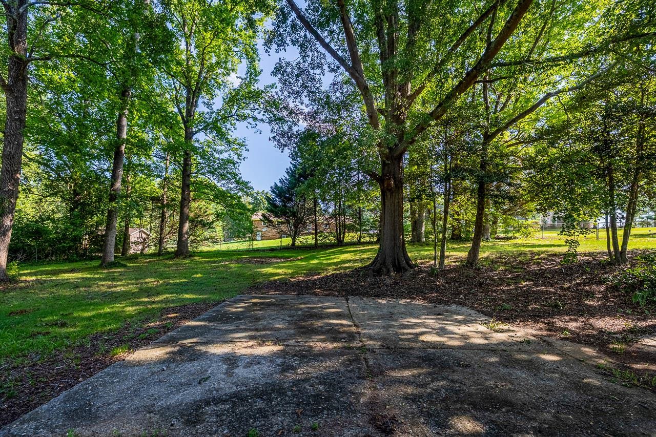 155 Brookdale Drive Property Photo 13