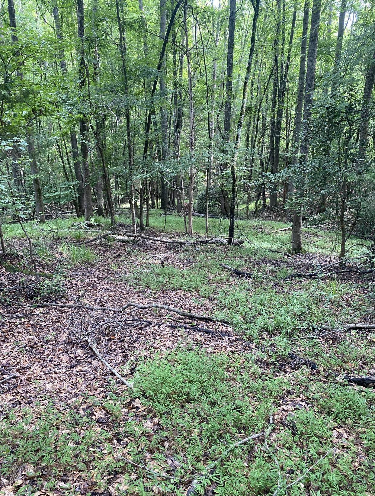 340044 Property Photo 6