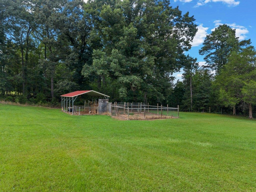 132 Phillips Road Property Photo 41