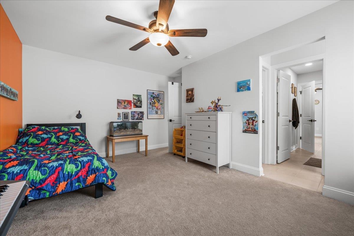 19 Needham Drive Property Photo 38