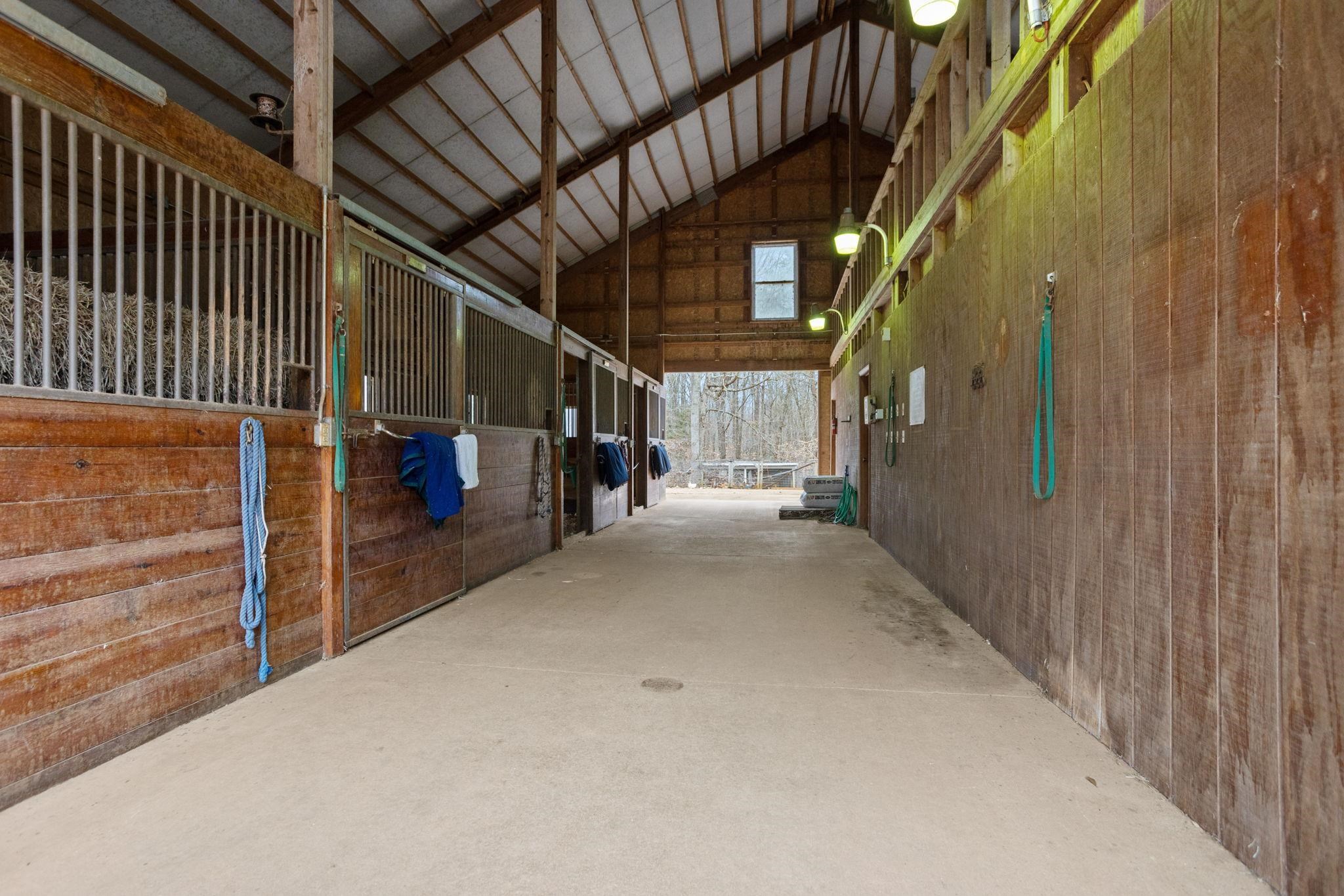 1035 Willis Road Property Photo 34