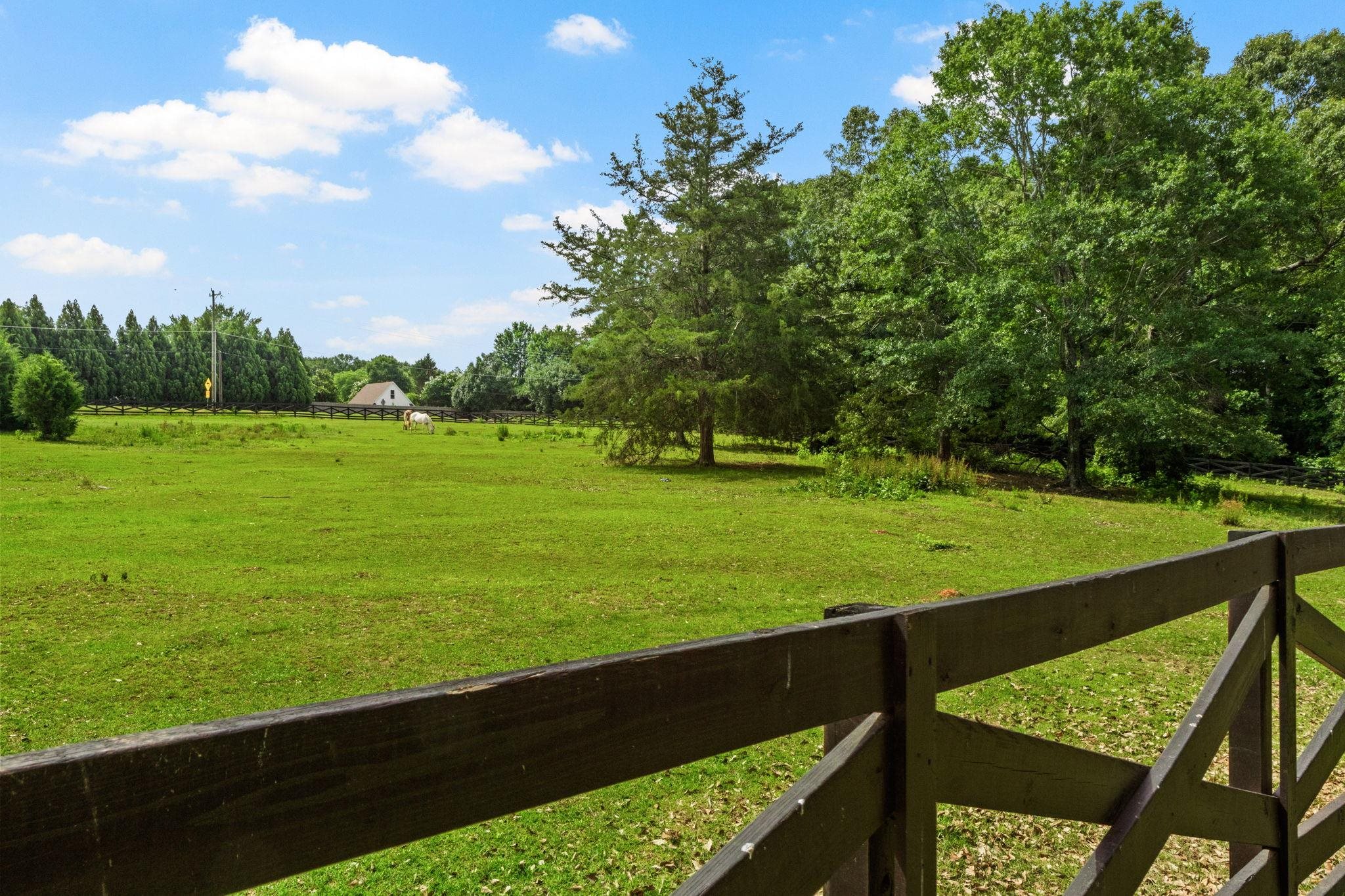 1035 Willis Road Property Photo 44