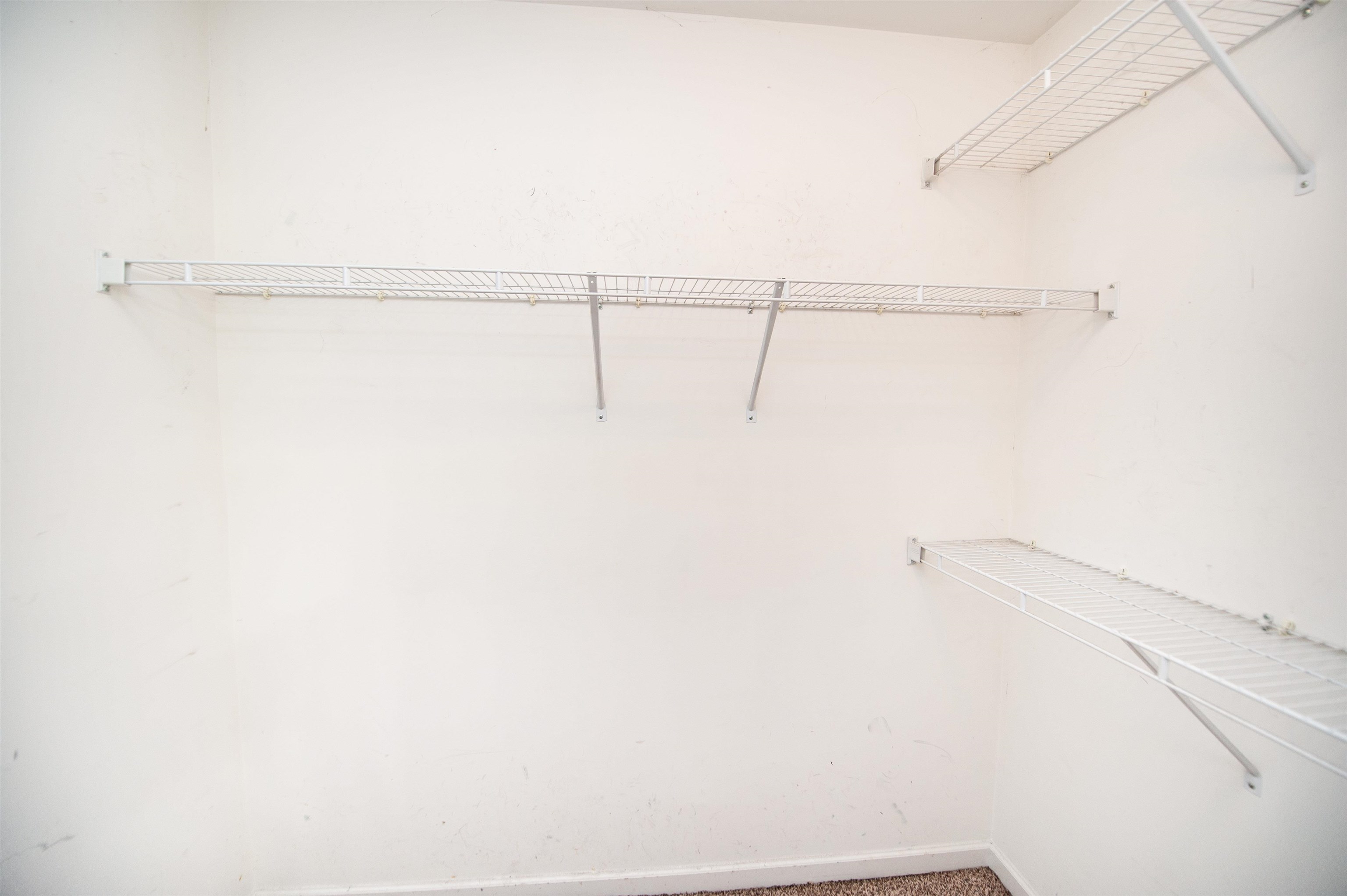 121 Albus Dr. Property Photo 12