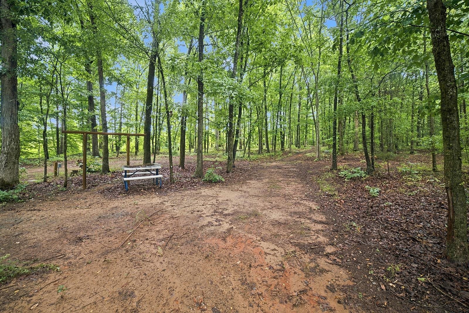3501 Apple Orchard Road Property Photo 42