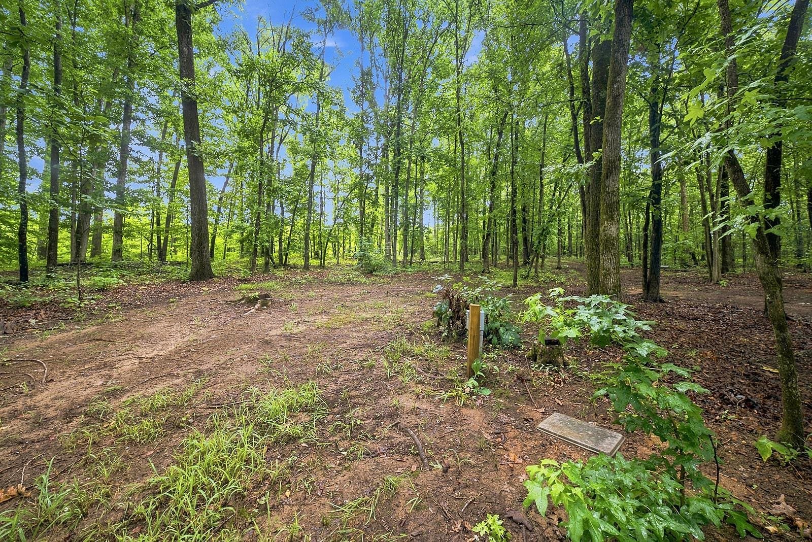 3501 Apple Orchard Road Property Photo 47