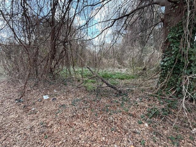 340274 Property Photo 4