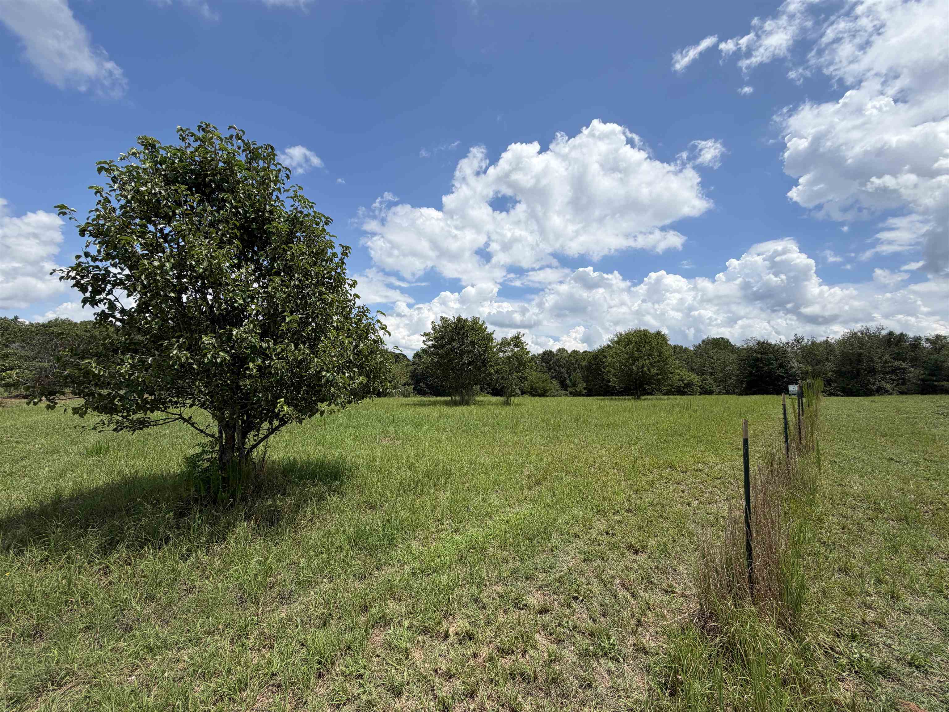 340288 Property Photo 2