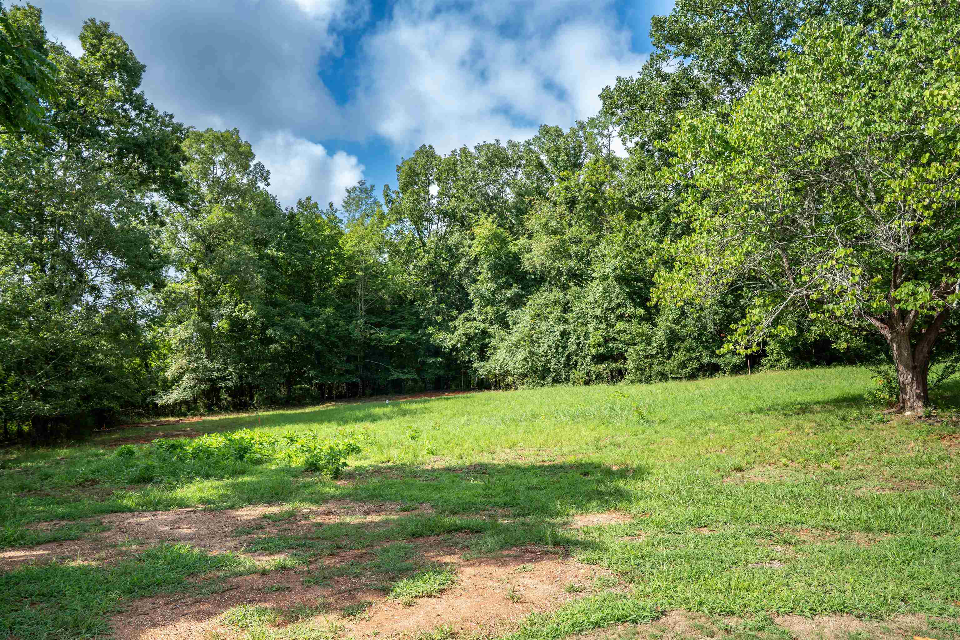 550 Landrum Mill Road Property Photo 34
