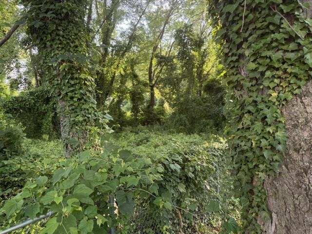 214 Dana Road Property Photo 44