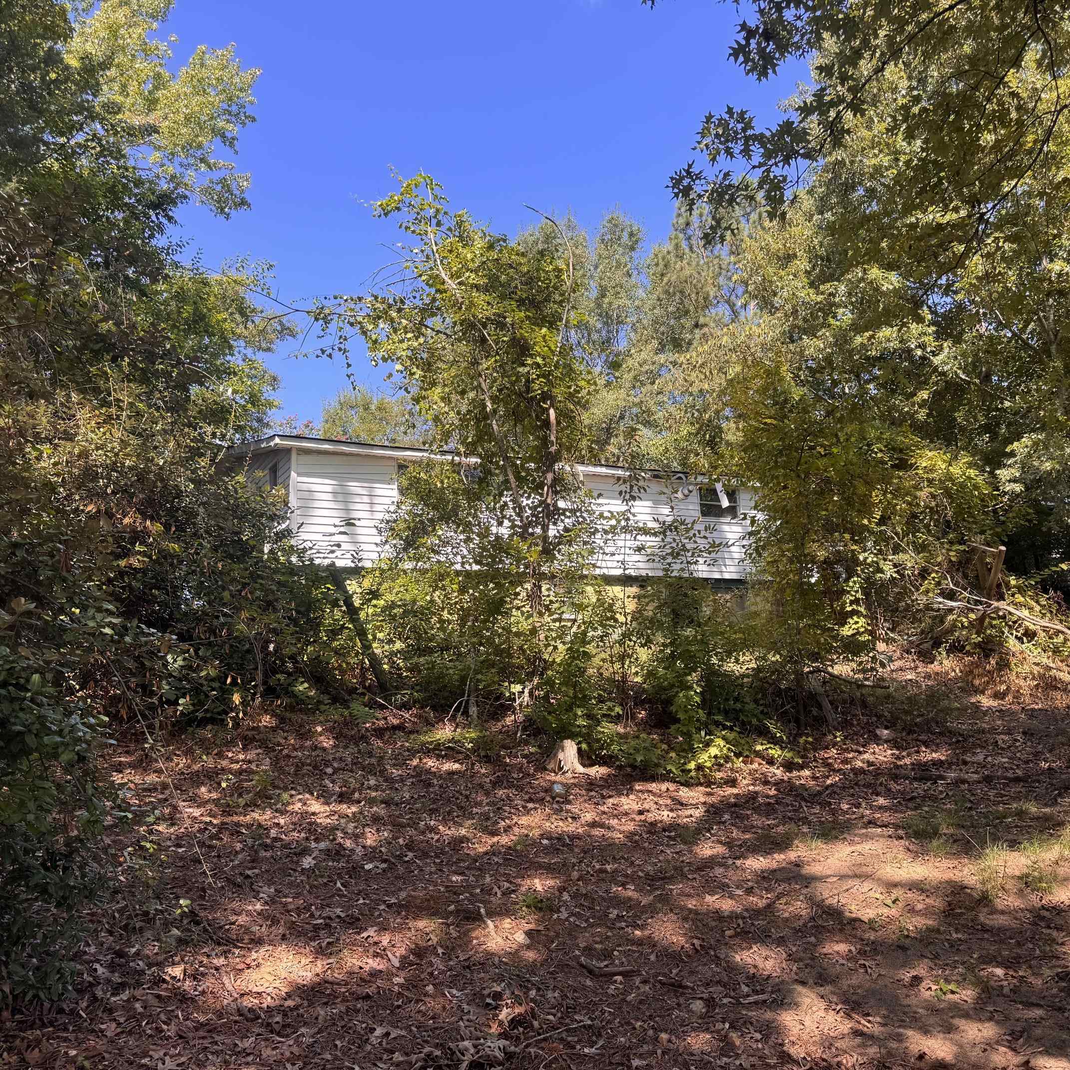 340447 Property Photo 4