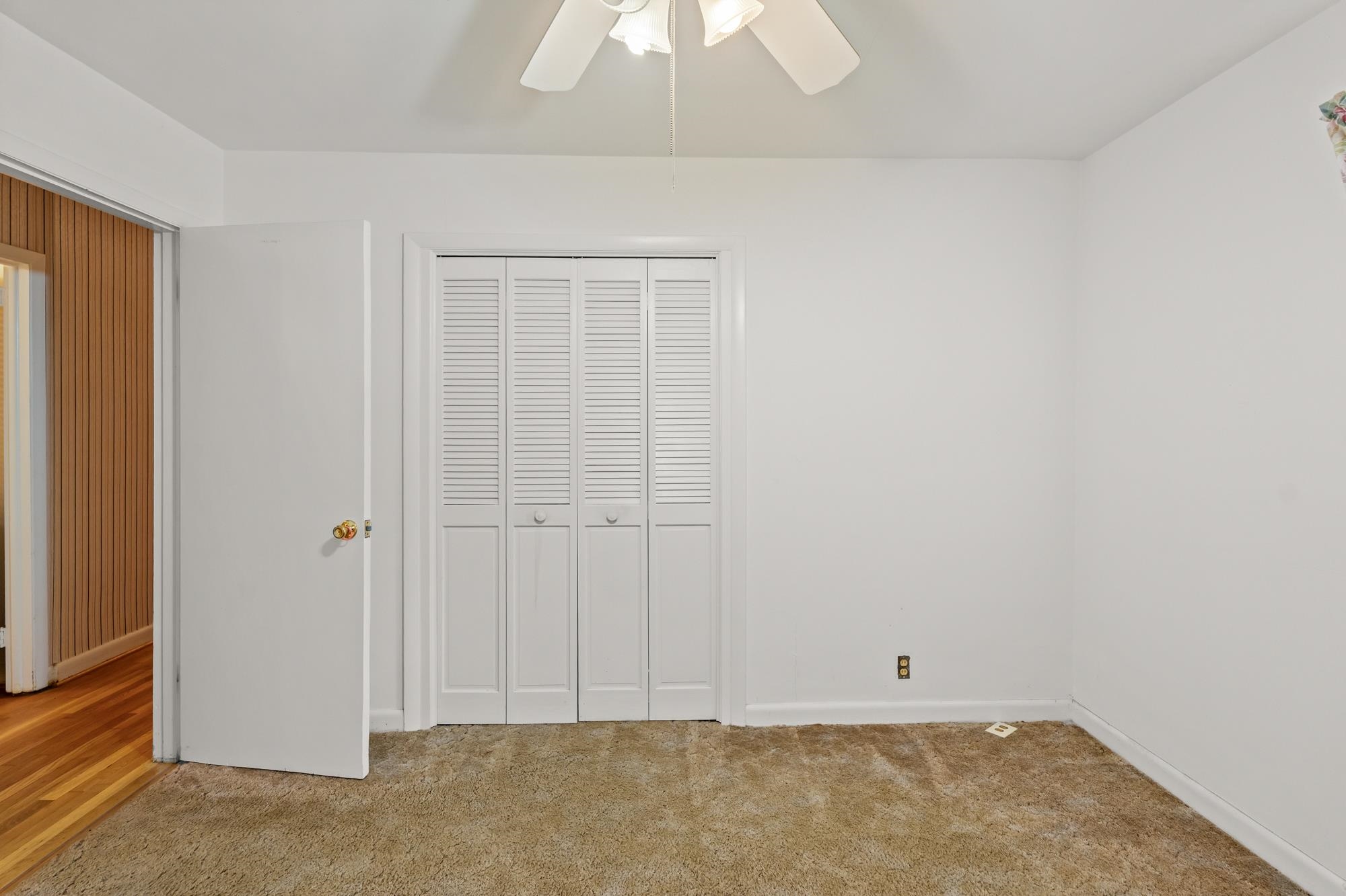 204 Catawba Street Property Photo 13