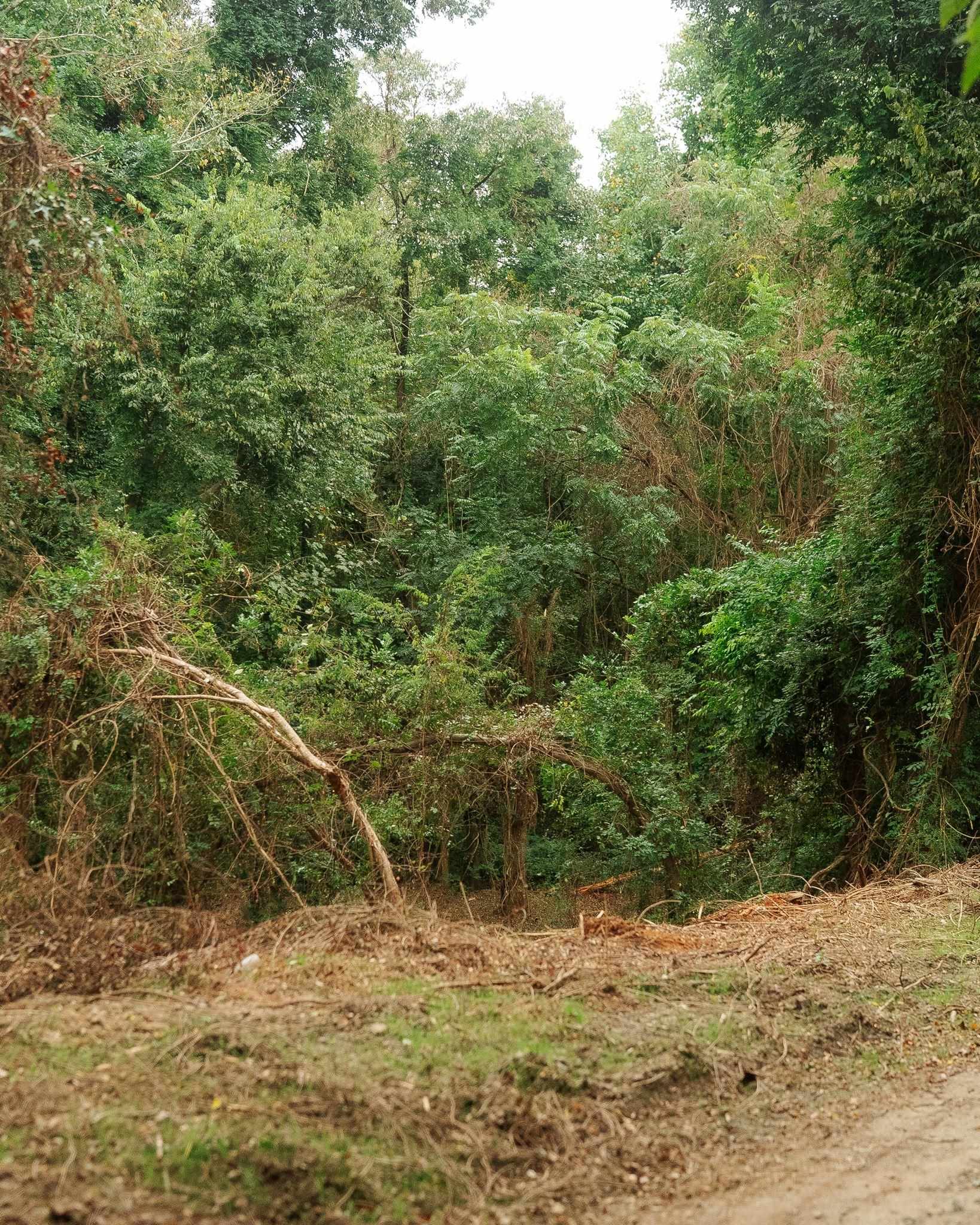 340487 Property Photo 5