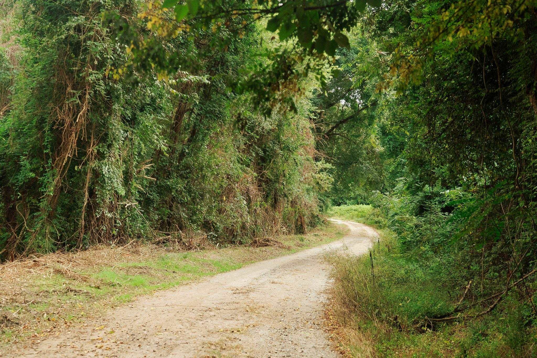 340487 Property Photo 7