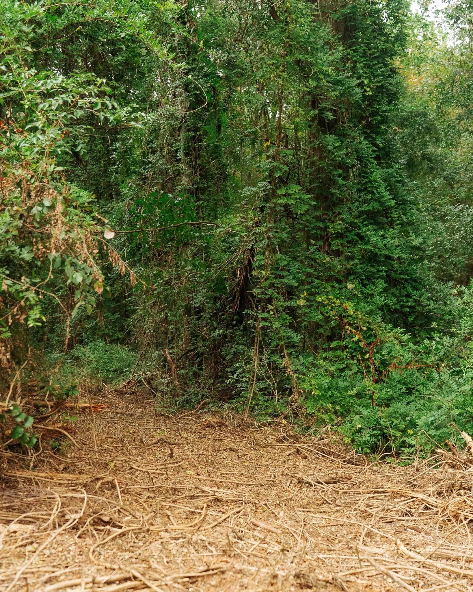340487 Property Photo 11