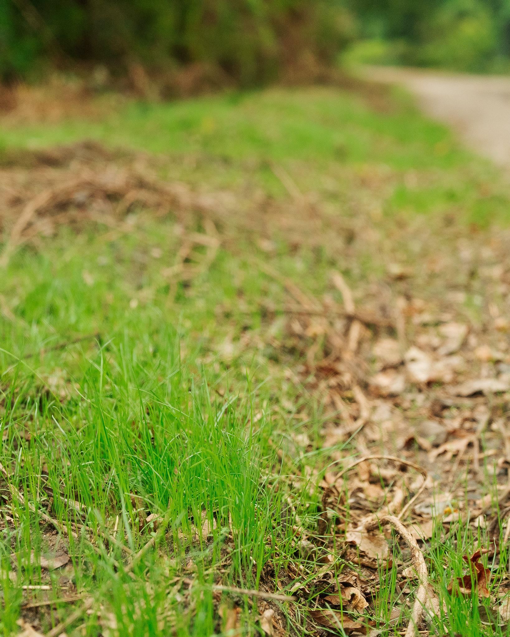 340487 Property Photo 15