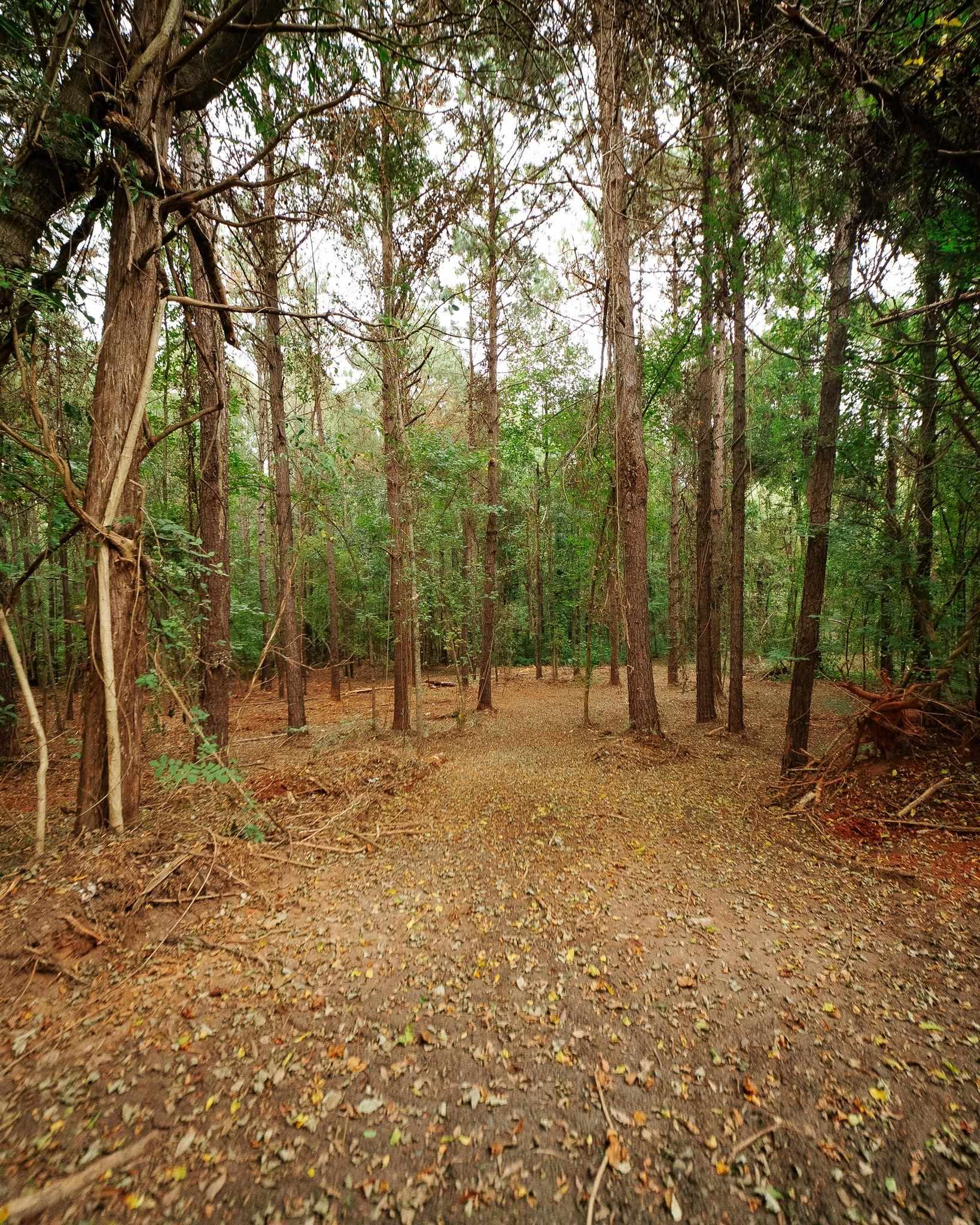 340487 Property Photo 16
