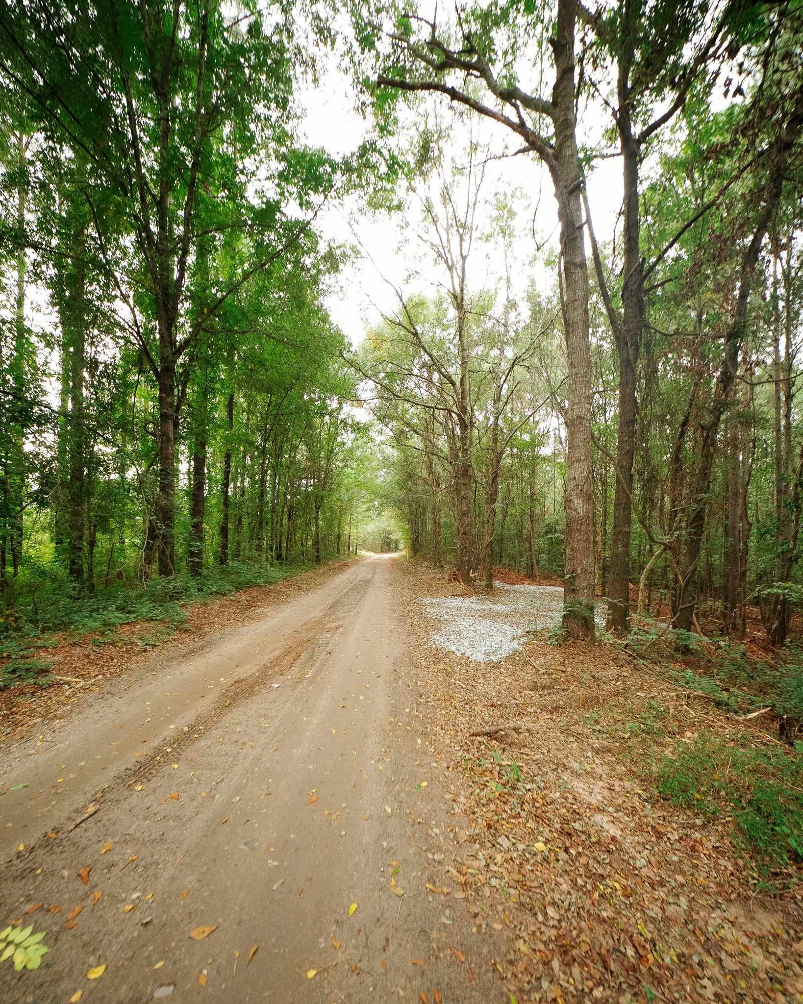 340487 Property Photo 17