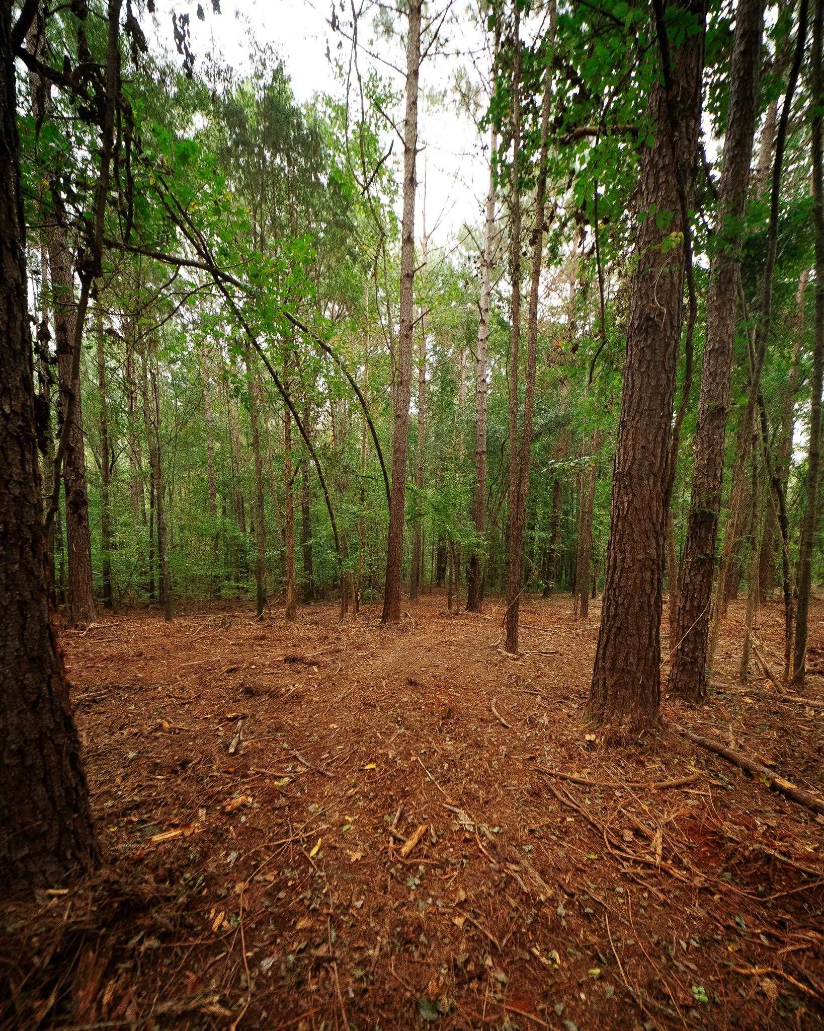 340487 Property Photo 20
