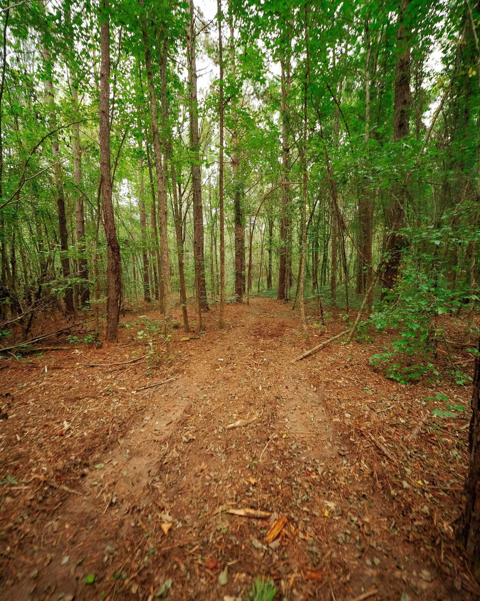 340487 Property Photo 22