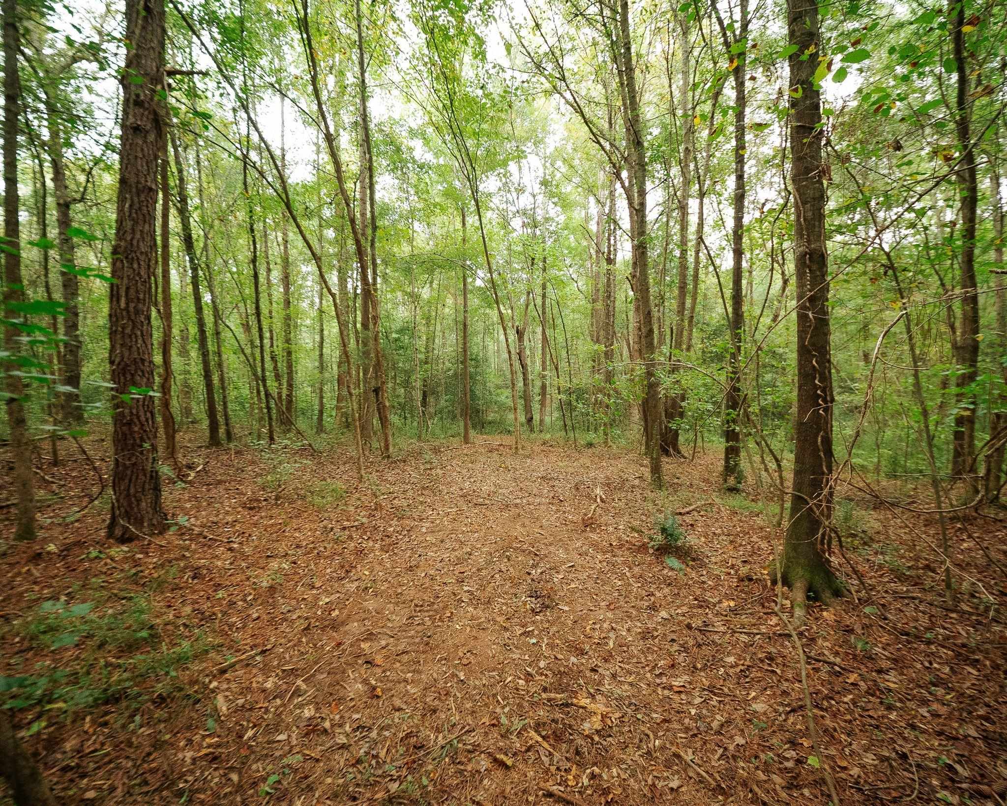 340487 Property Photo 23