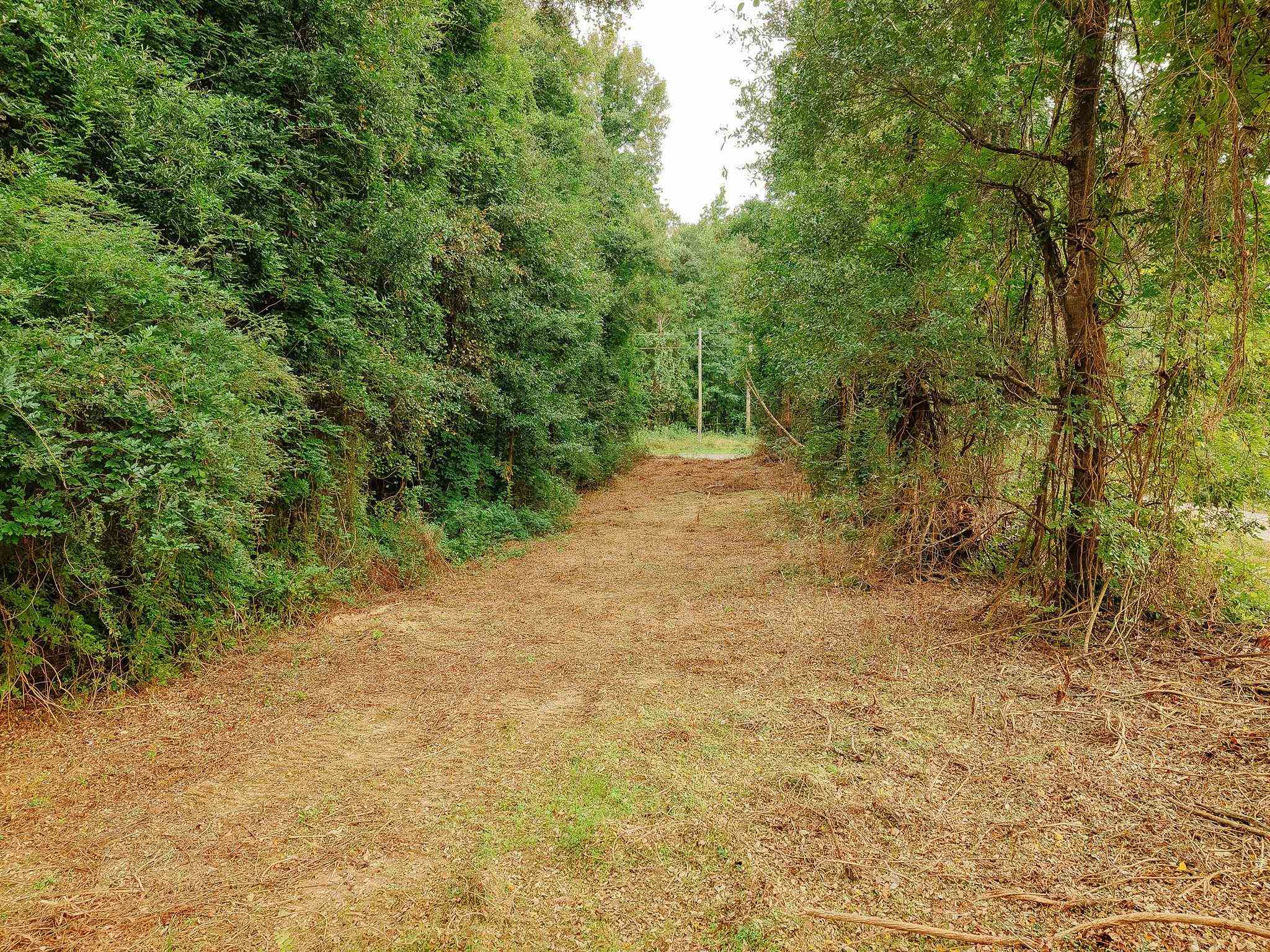 340487 Property Photo 28