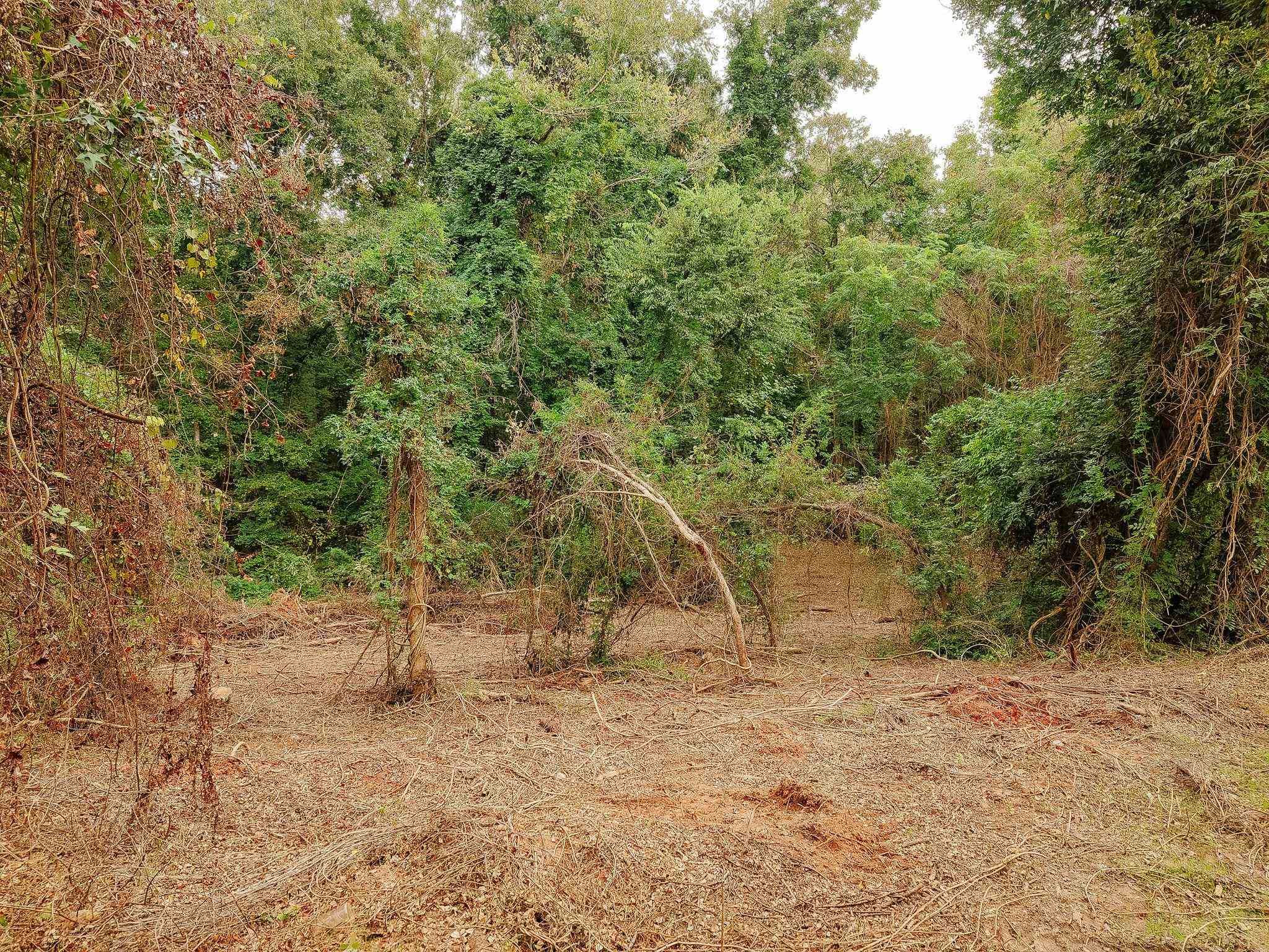 340487 Property Photo 30